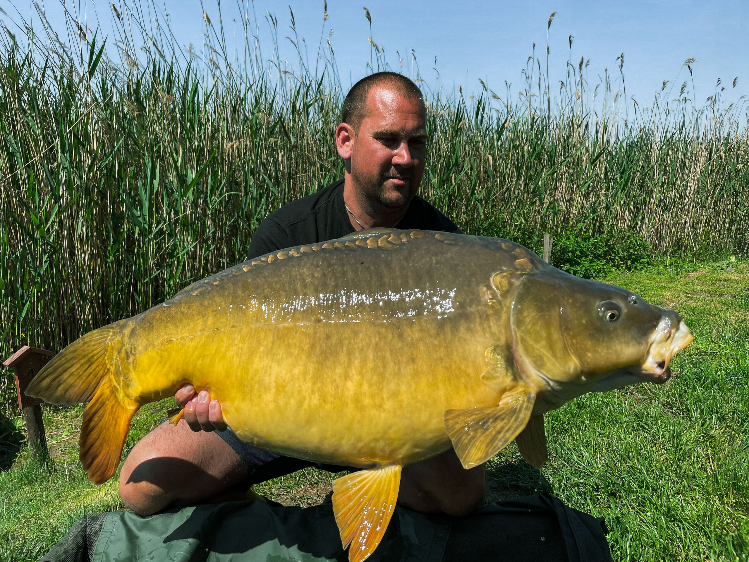 20,4 kg Illusive team 2. Czirók Attila 1-es hely