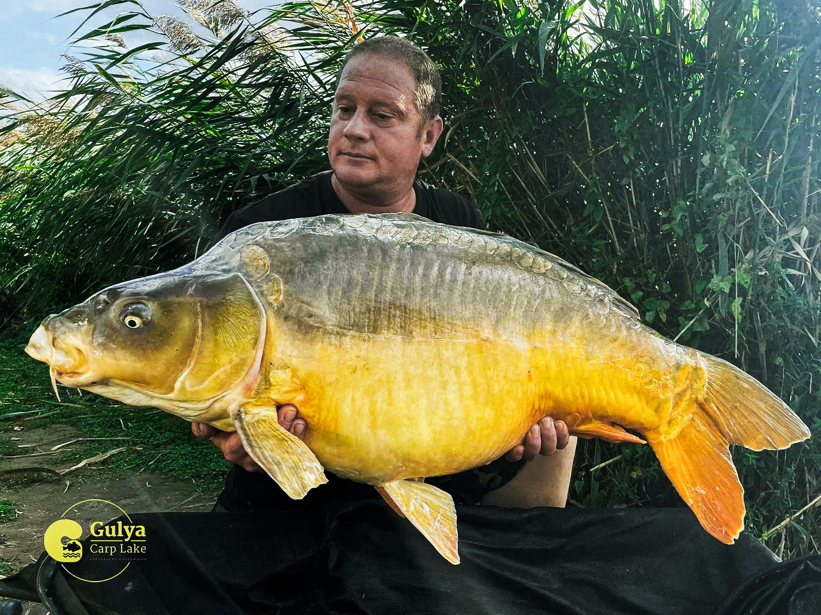 Gubicza Csaba 22 kg 17-es állás