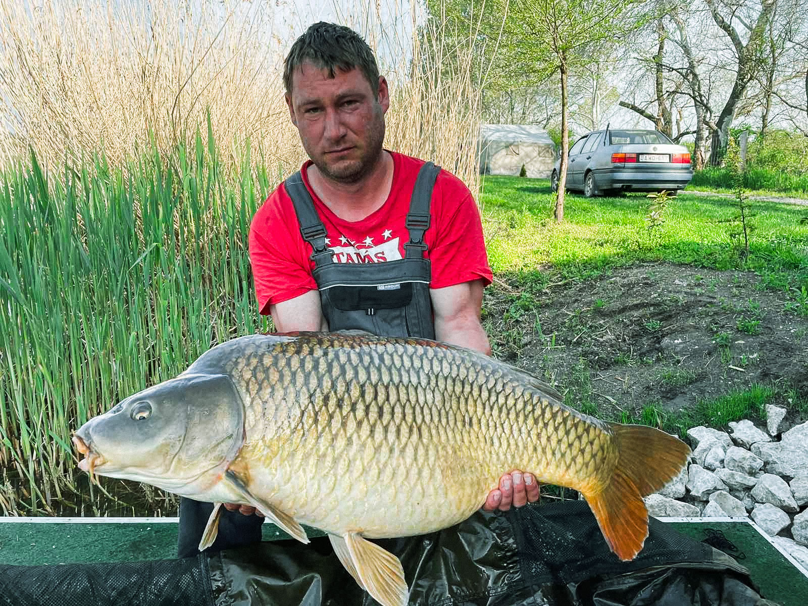 Pavelkó Tamás 20,5 kg 15-ös hely