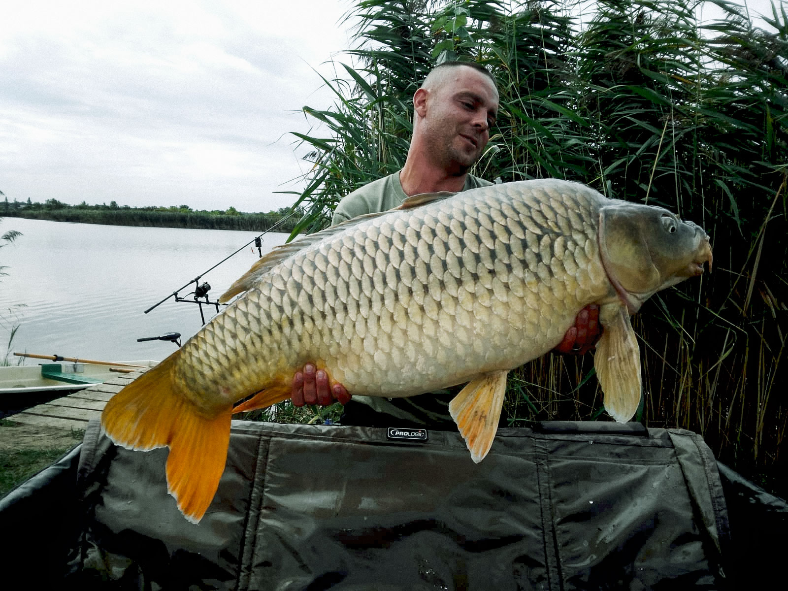 Prentel Róbert 22 kg Sziget