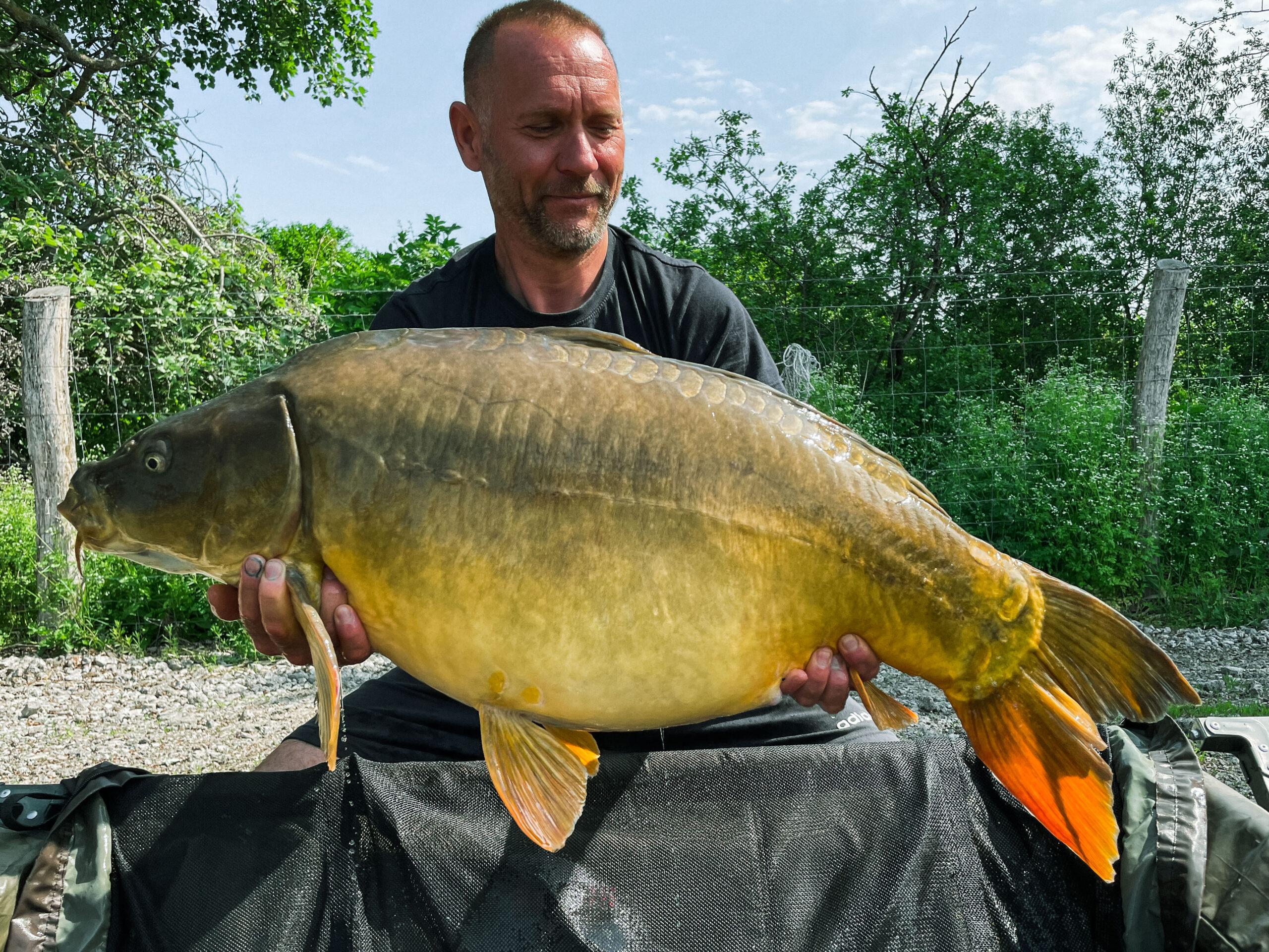 Vörös László III. Gulya Carp Cup 20,75 kg 17-es állás Bari Carp Team