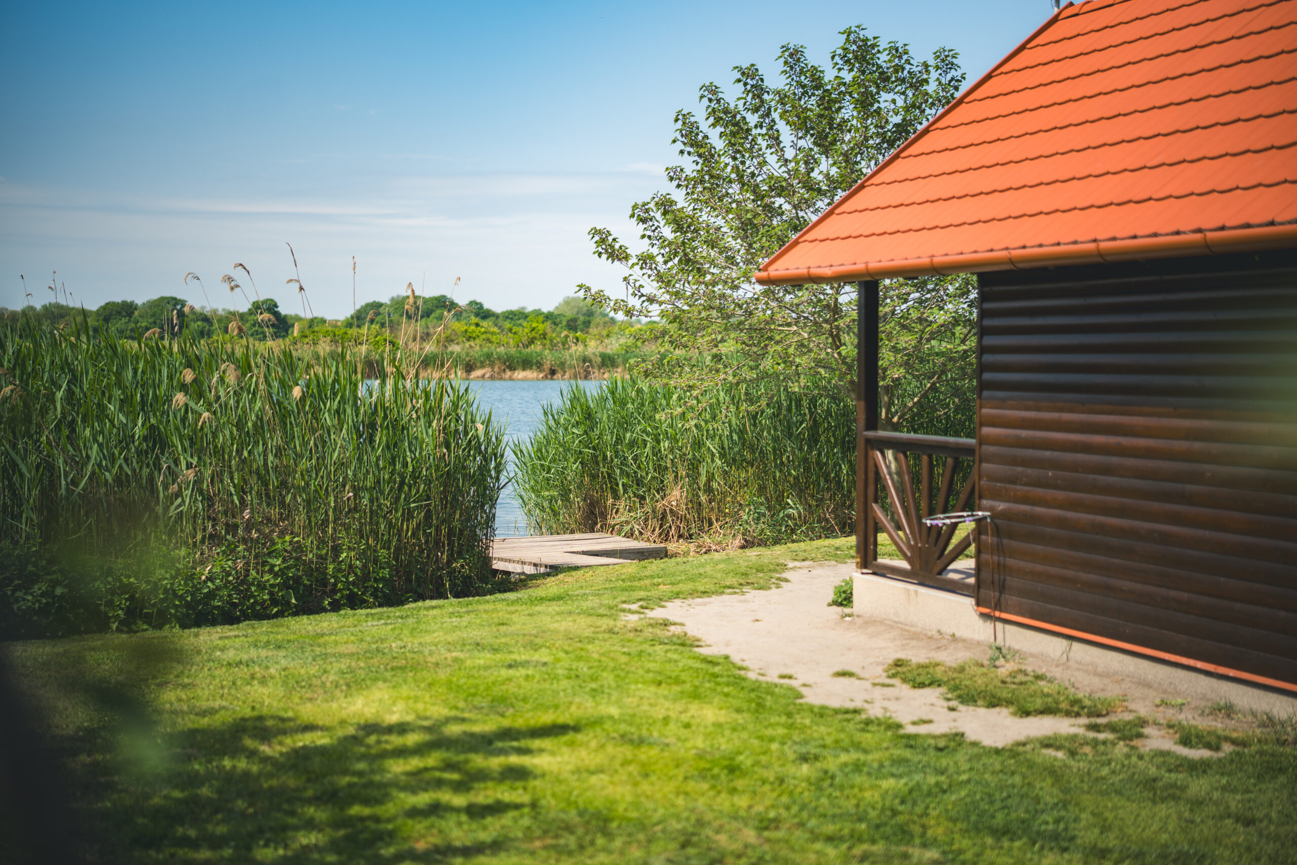 untitled (10 of 132)