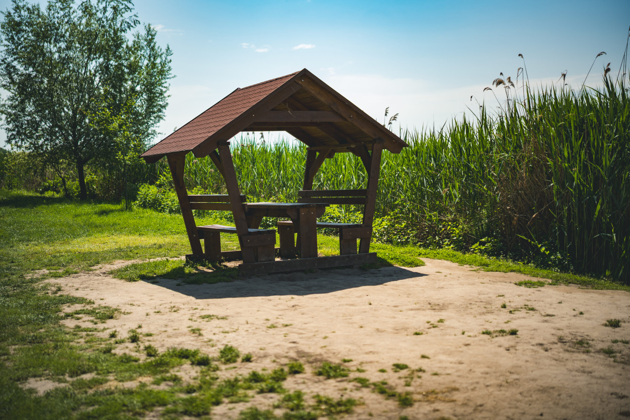 untitled (100 of 132)