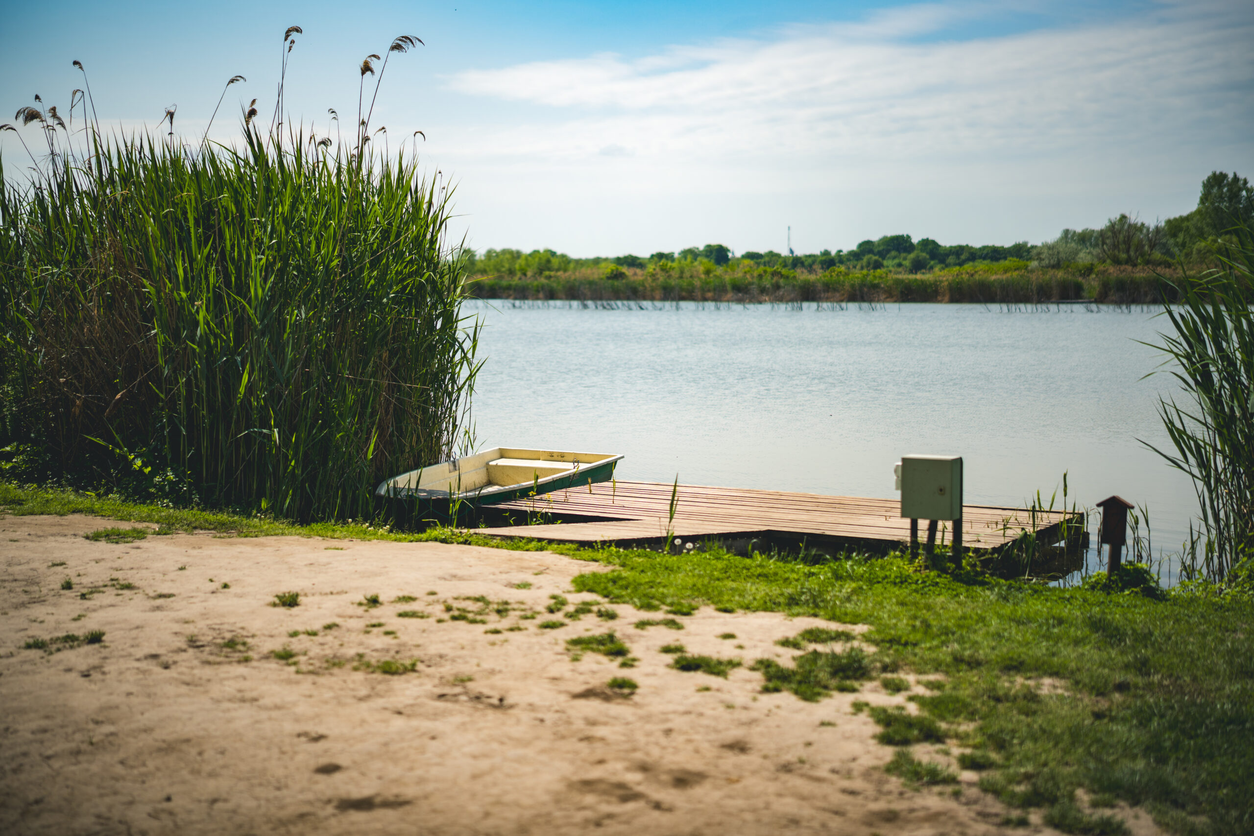 untitled (101 of 132)