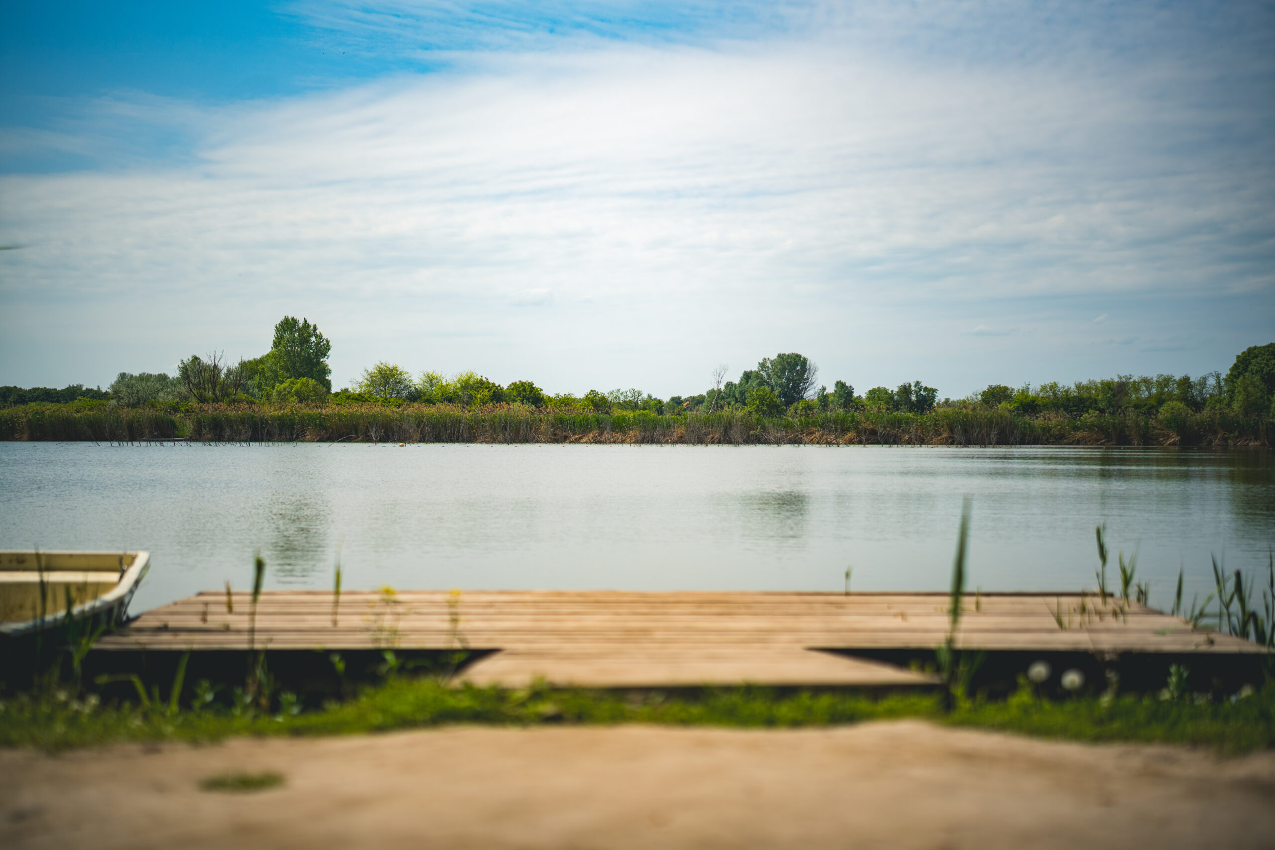 untitled (102 of 132)