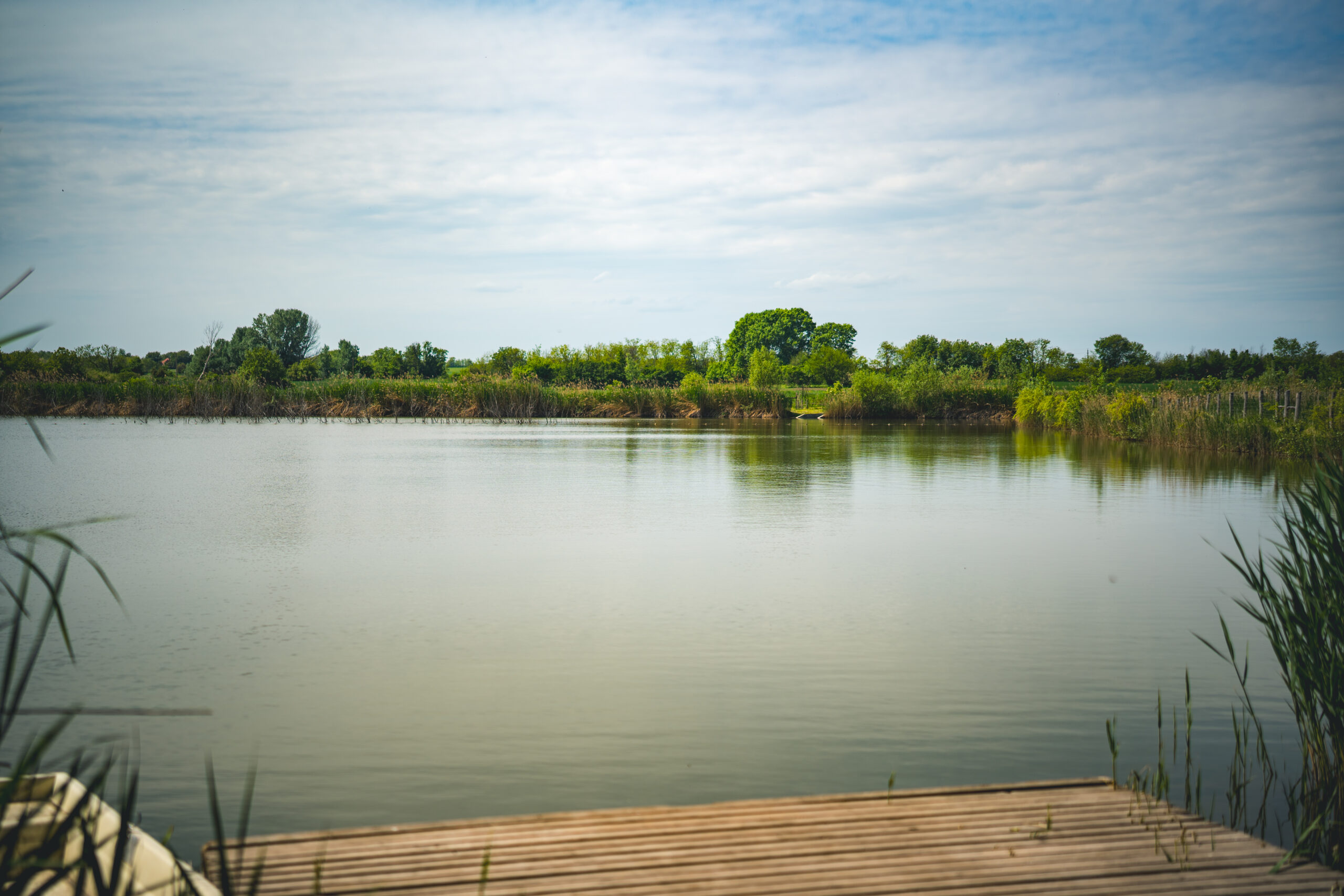 untitled (103 of 132)