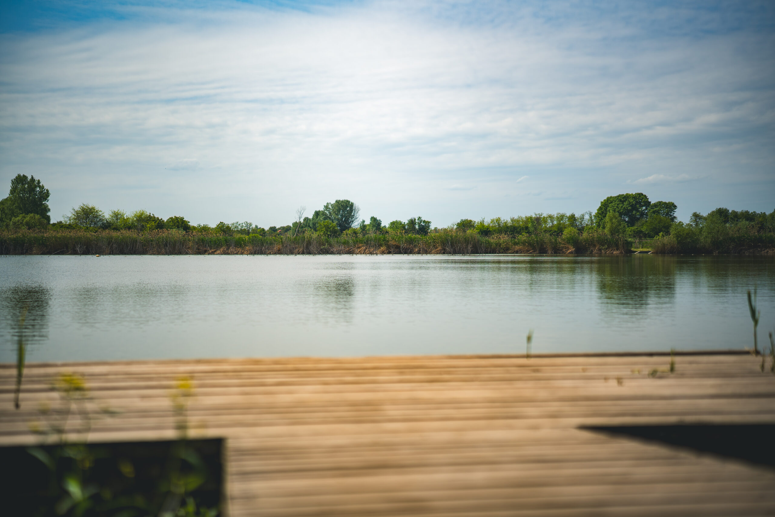 untitled (105 of 132)