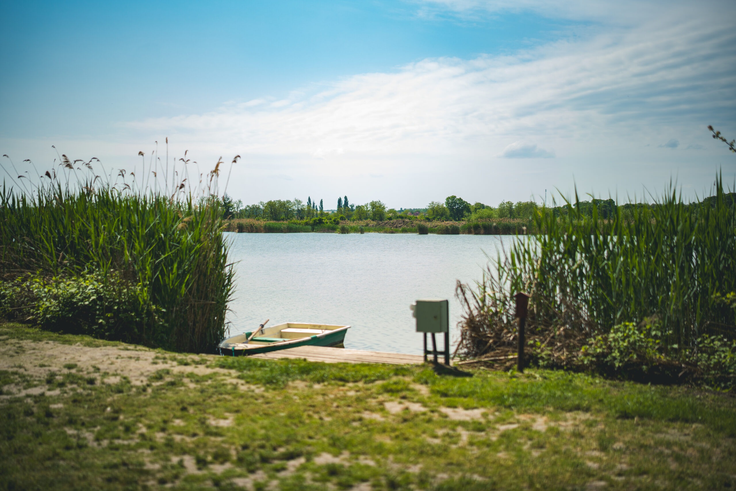 untitled (108 of 132)