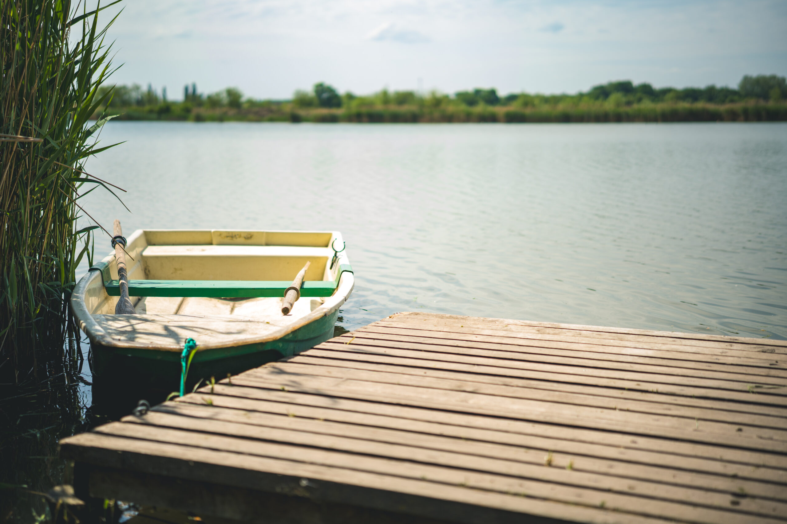 untitled (110 of 132)