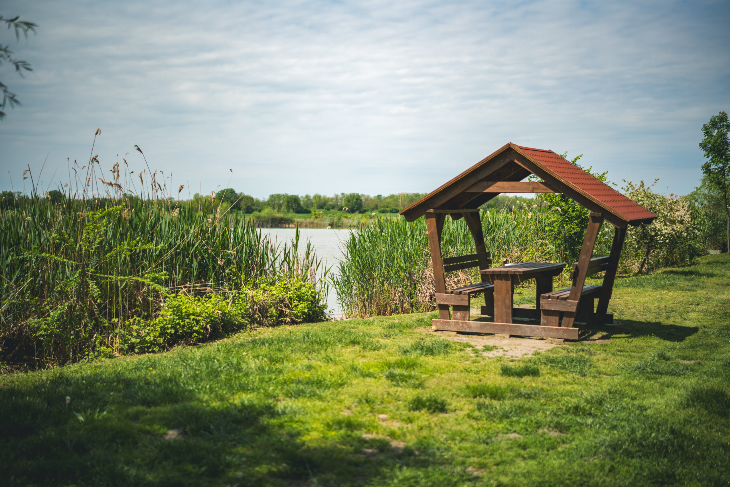 untitled (113 of 132)