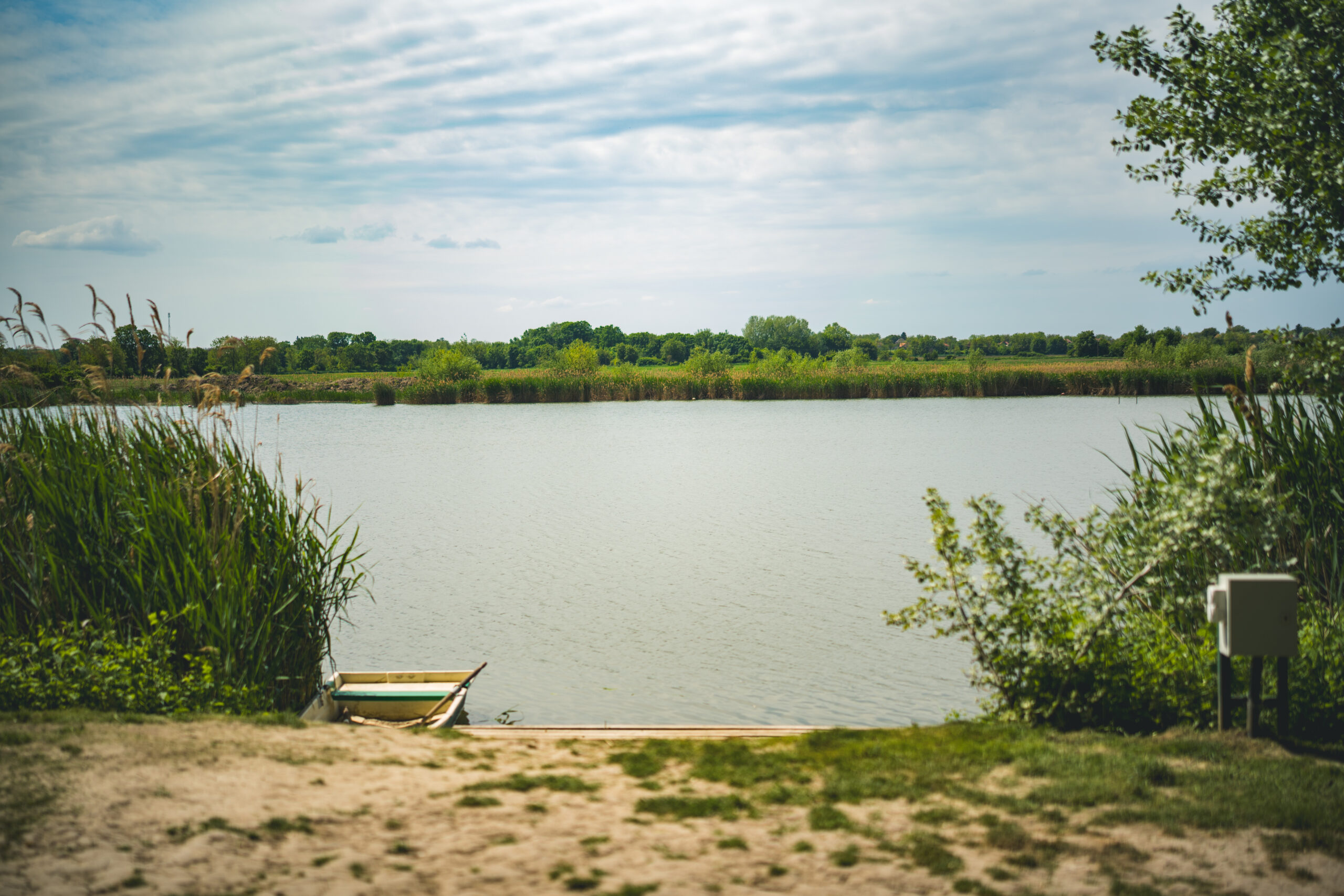 untitled (117 of 132)