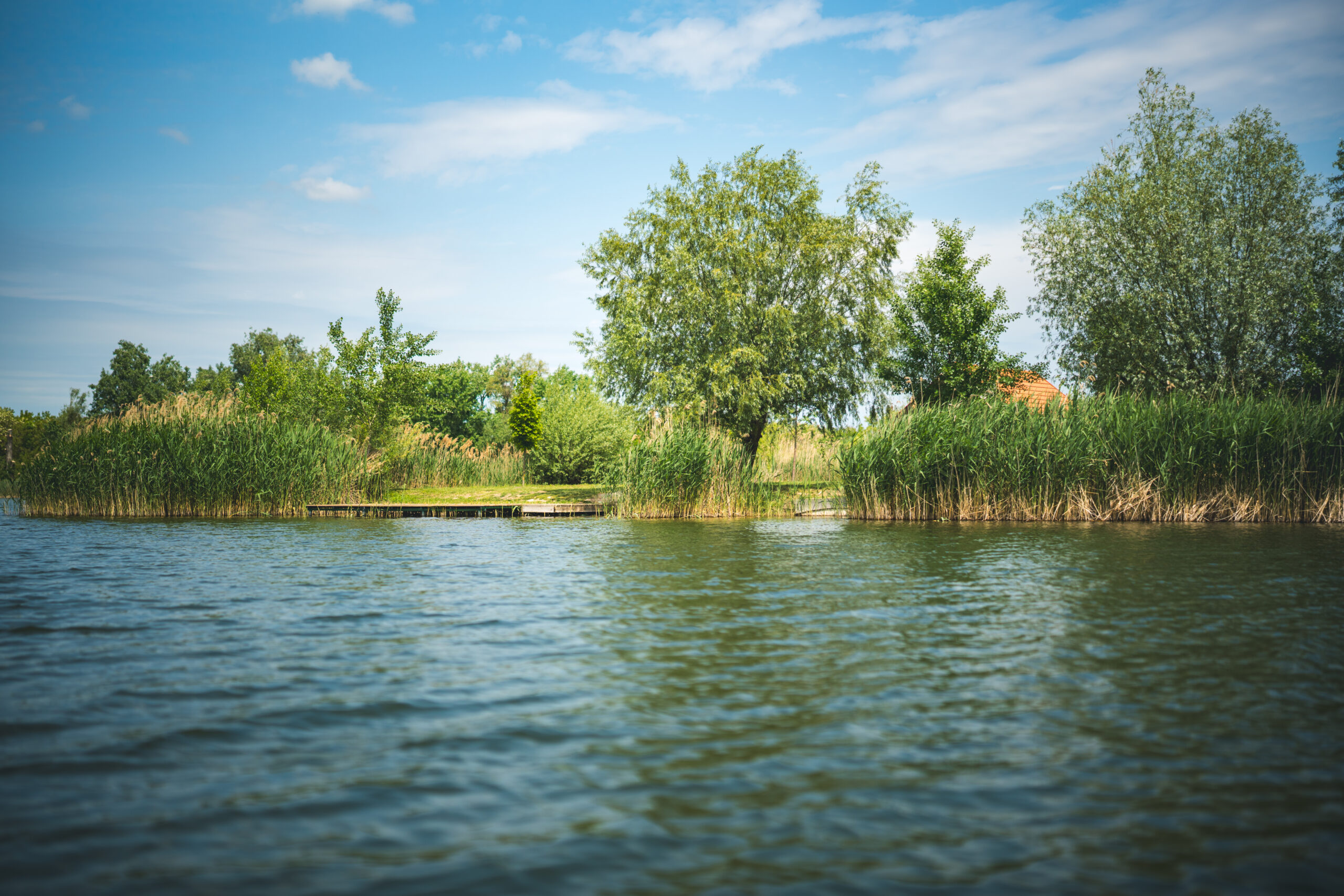 untitled (119 of 132)