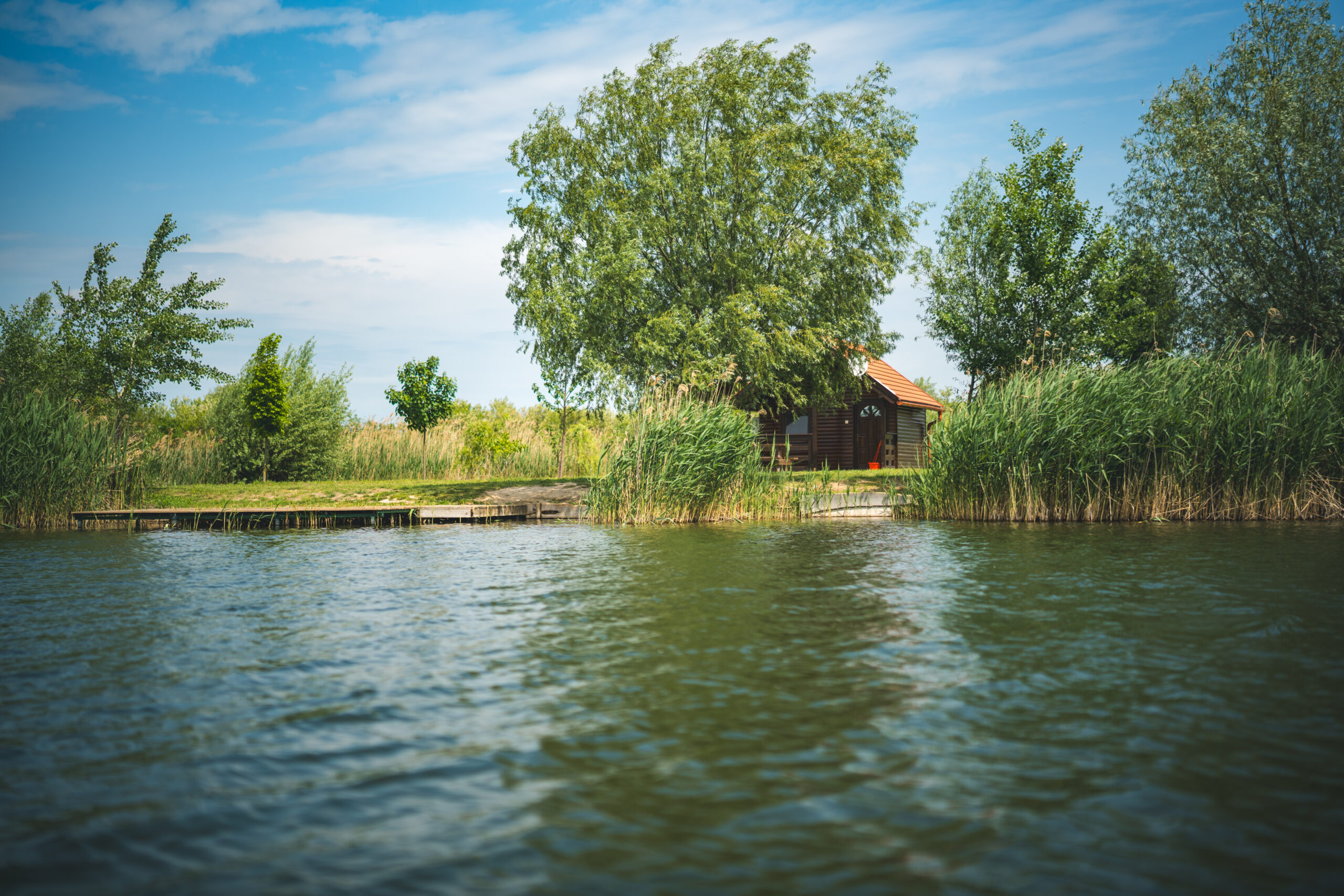 untitled (120 of 132)