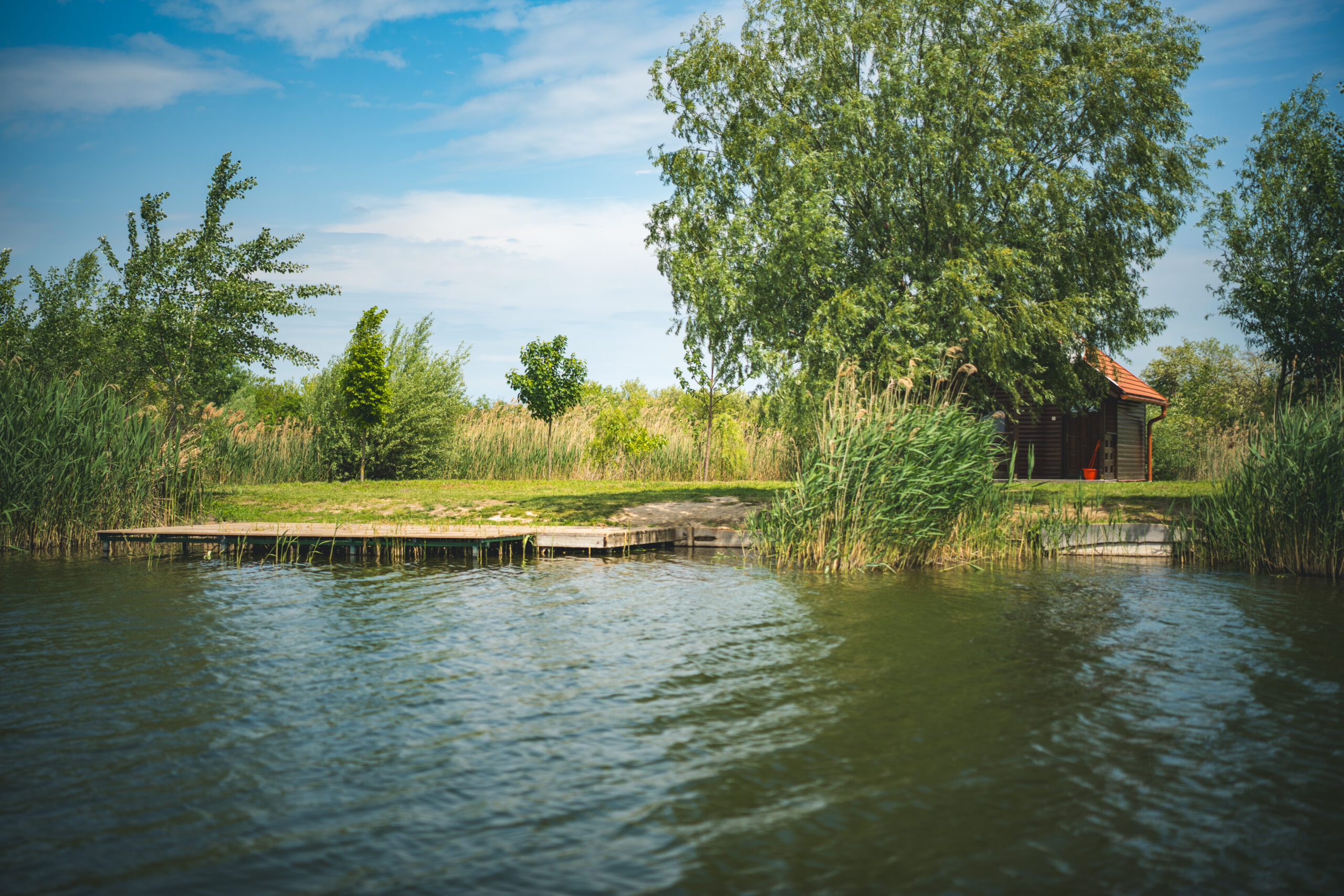 untitled (121 of 132)