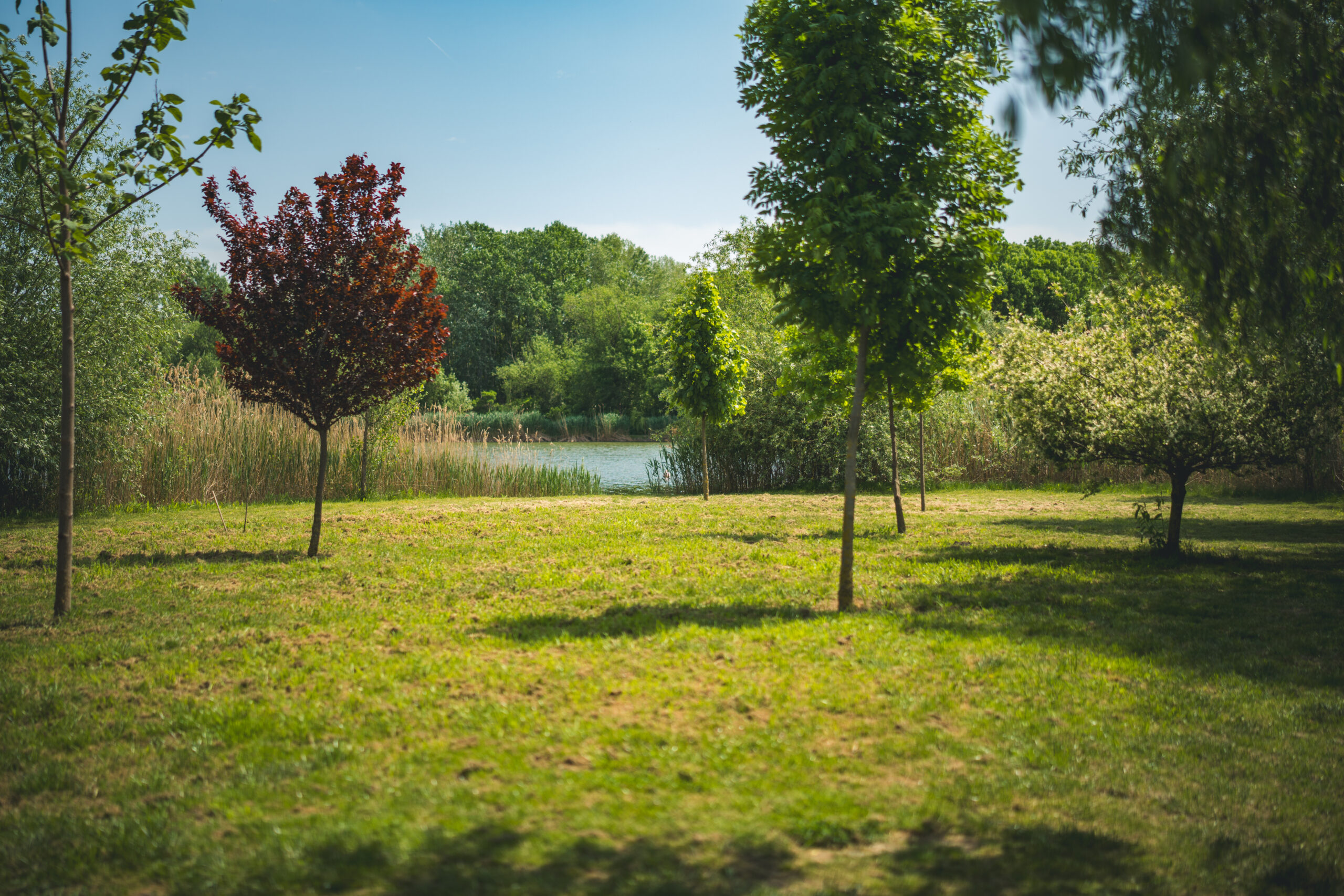 untitled (122 of 132)