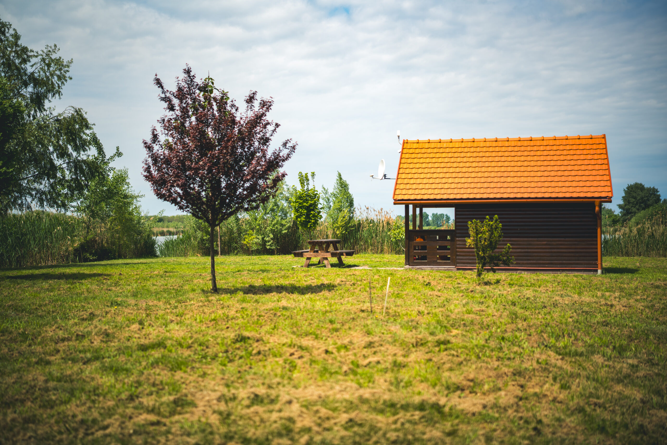 untitled (127 of 132)