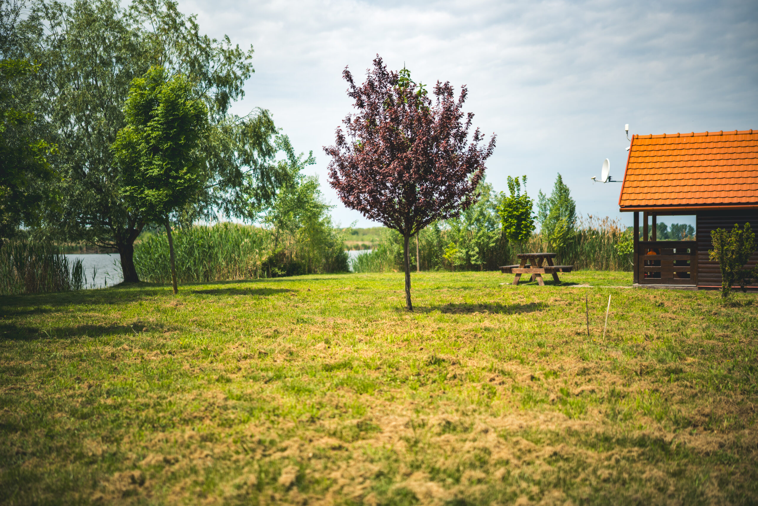 untitled (128 of 132)