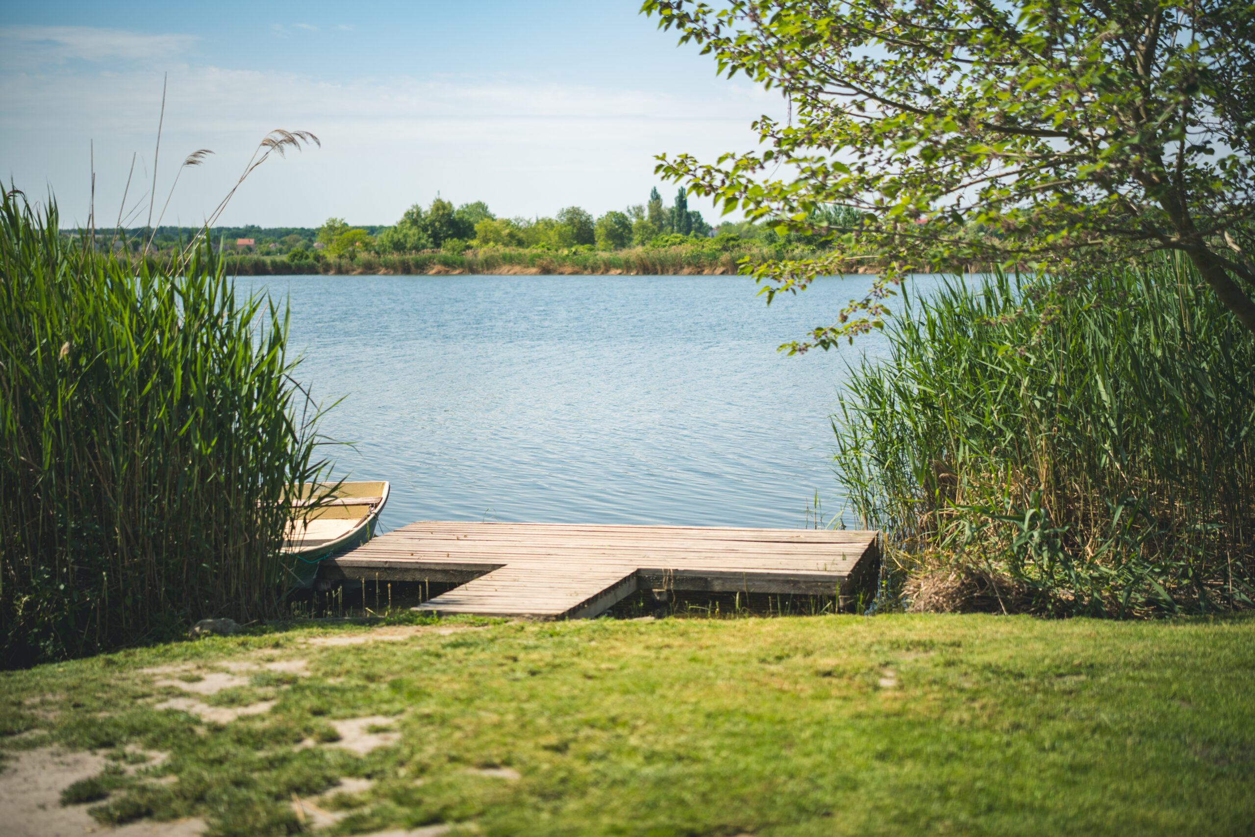 untitled (13 of 132)