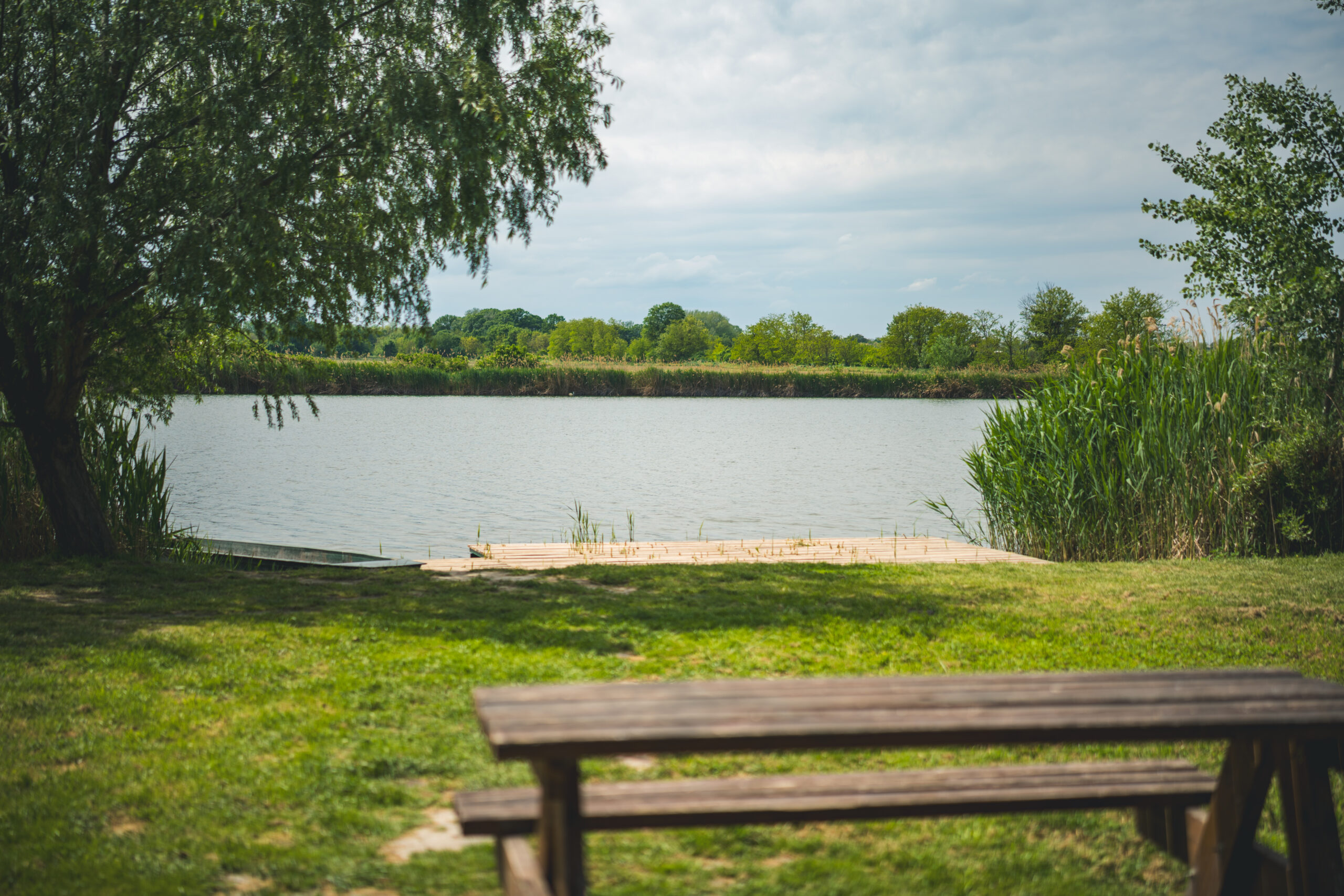 untitled (131 of 132)