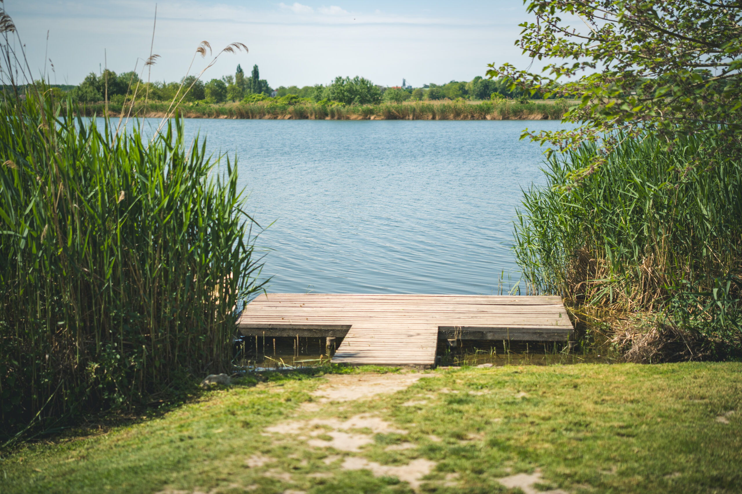 untitled (14 of 132)