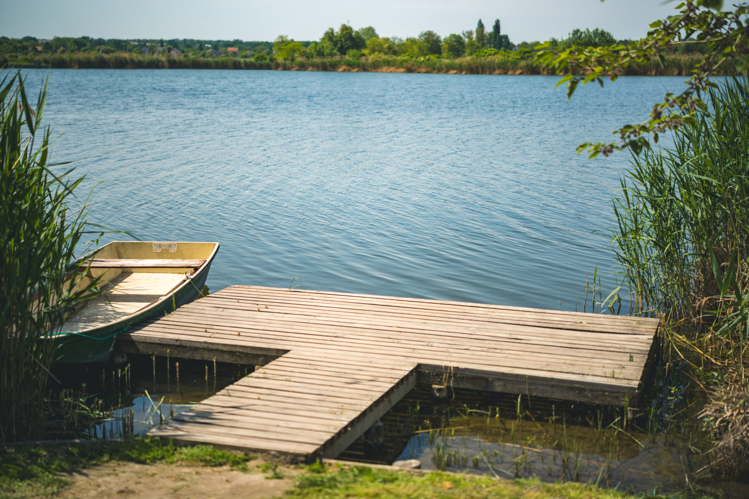 untitled (15 of 132)