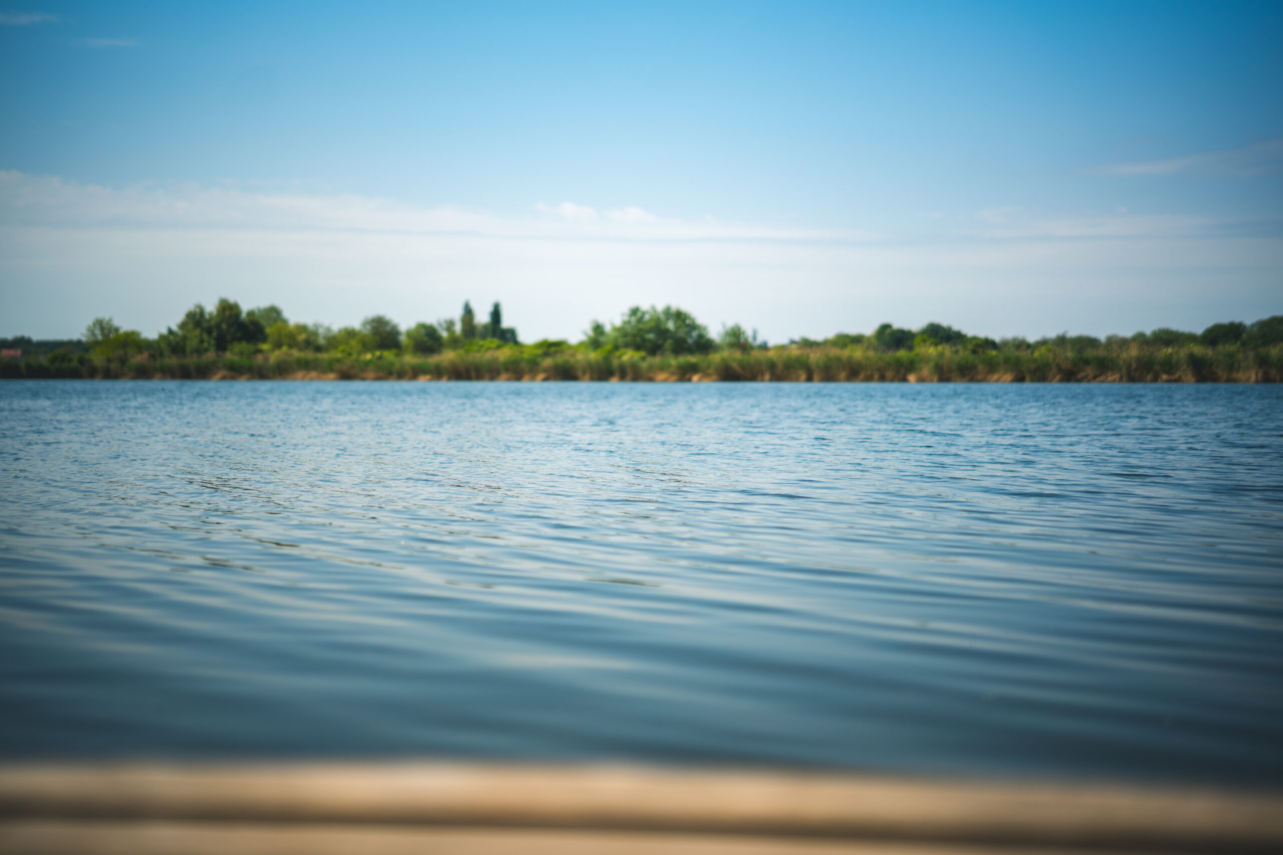 untitled (16 of 132)