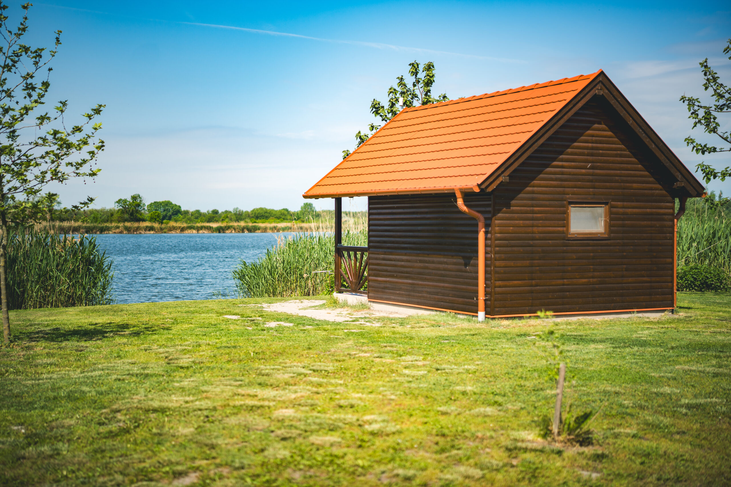 untitled (18 of 132)