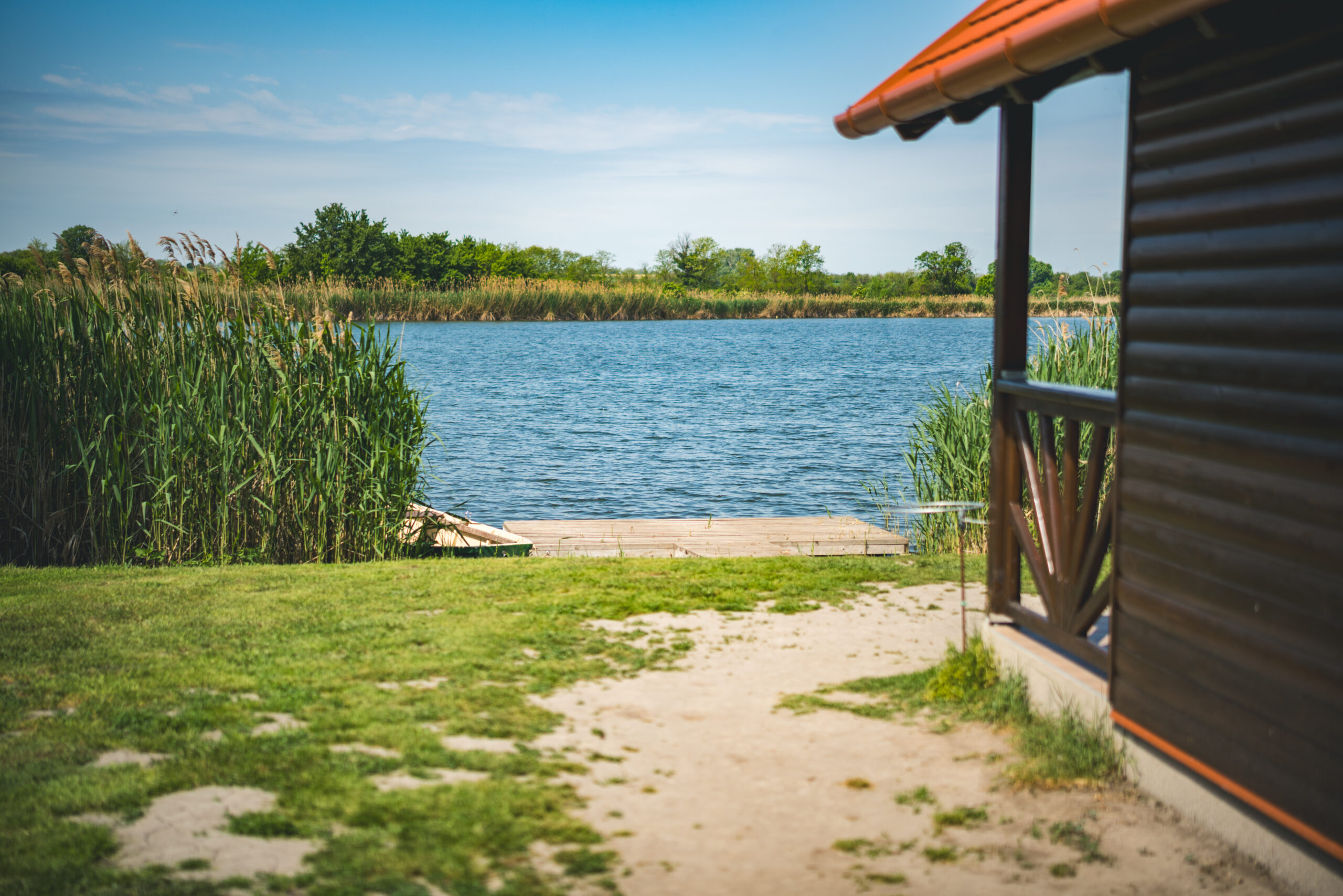 untitled (19 of 132)