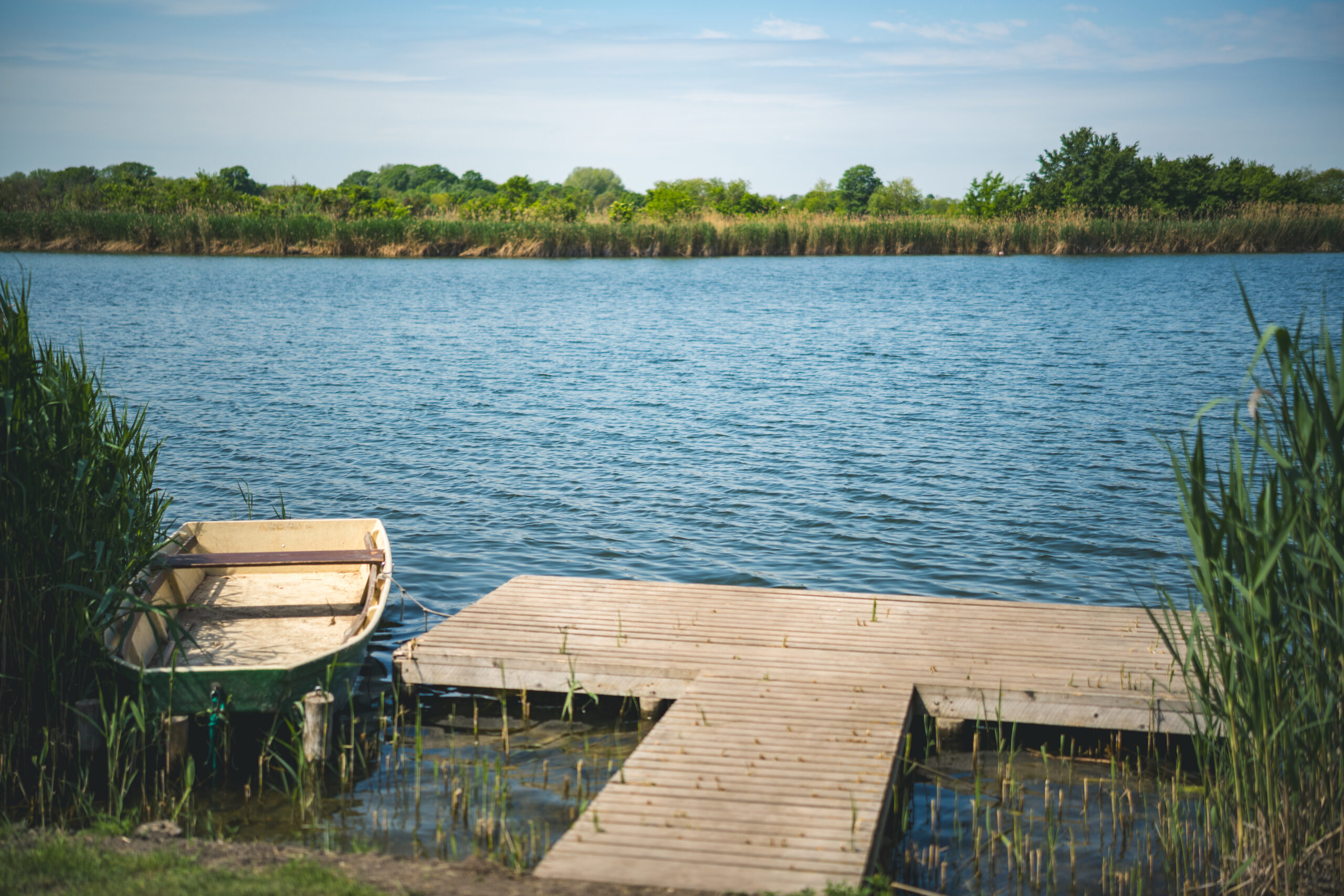 untitled (21 of 132)