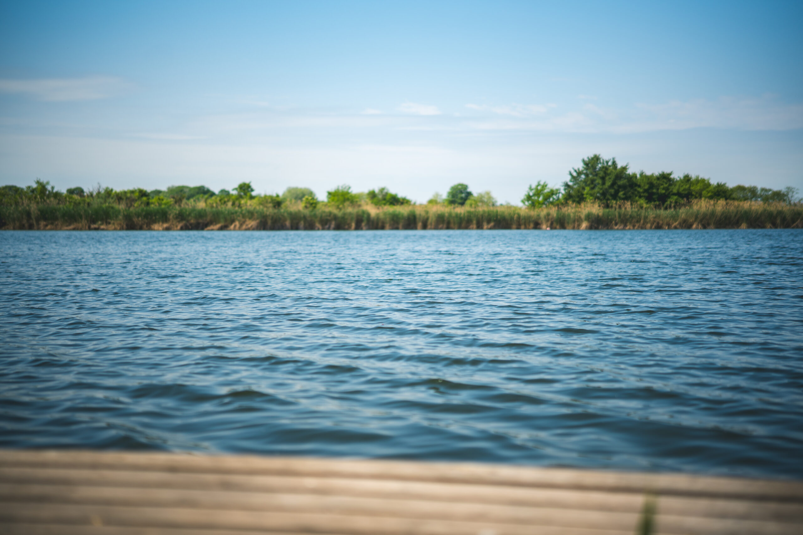 untitled (22 of 132)