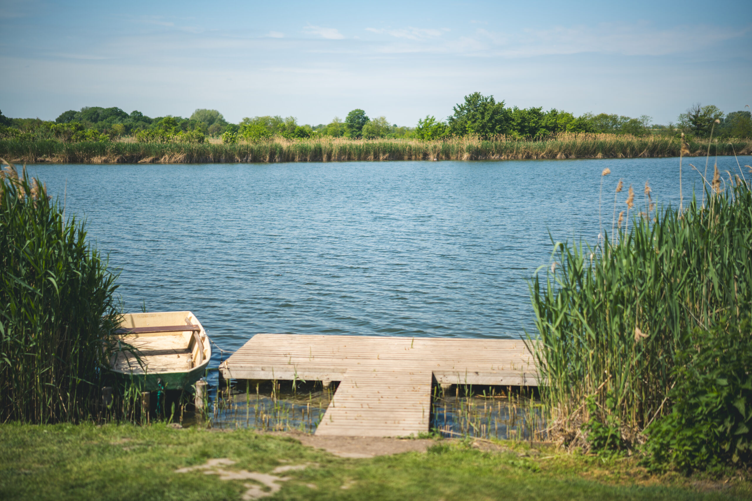 untitled (24 of 132)