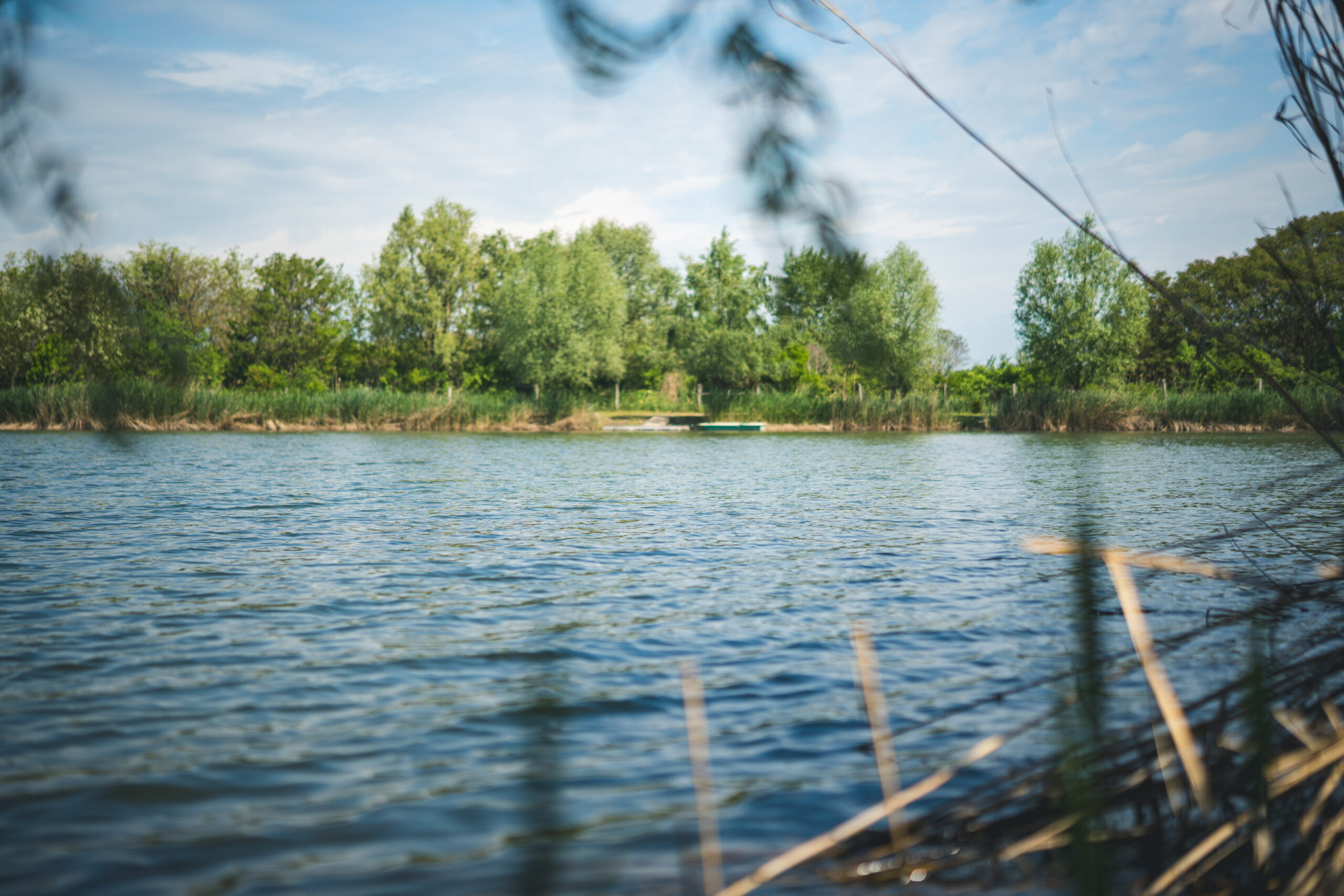 untitled (26 of 132)