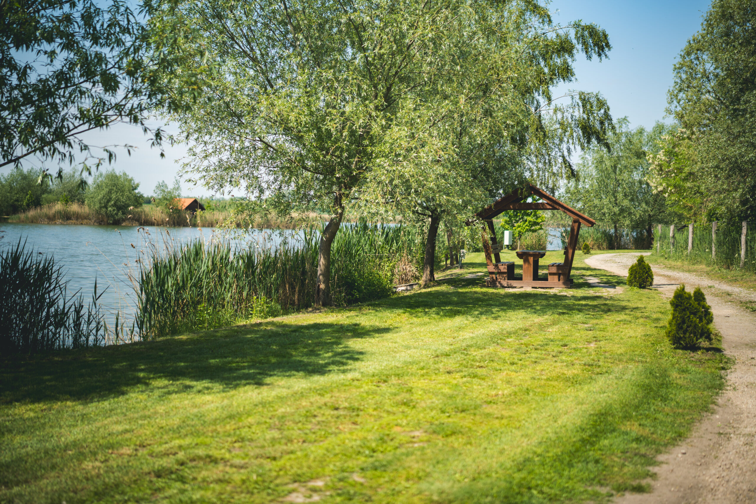 untitled (27 of 132)