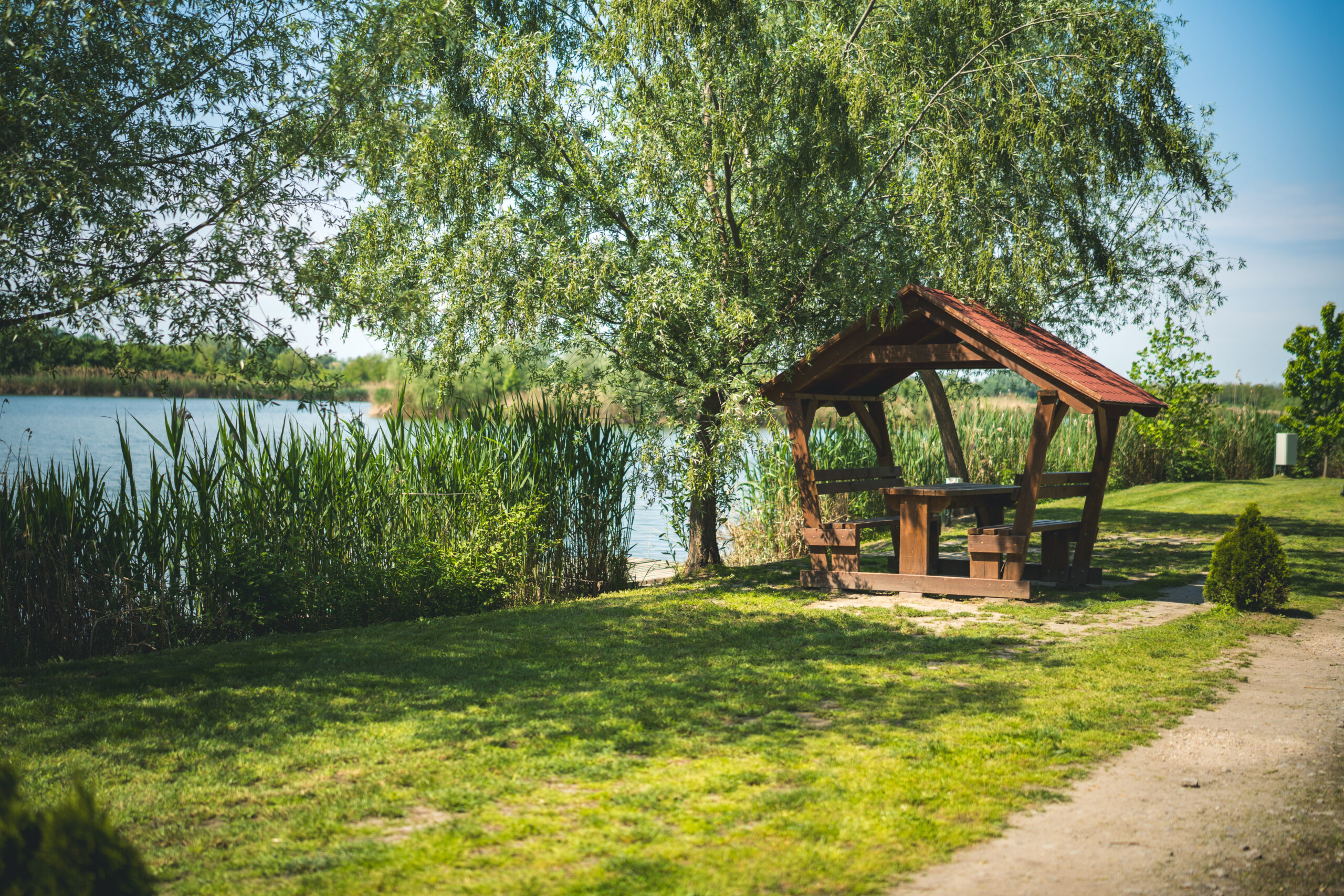 untitled (28 of 132)