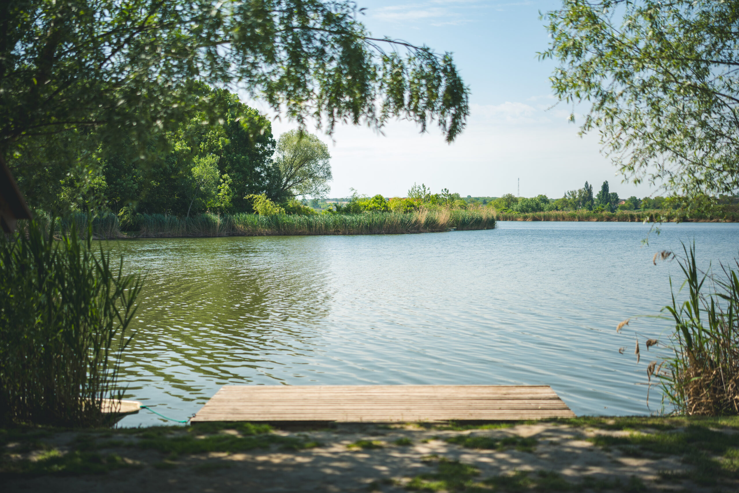 untitled (29 of 132)