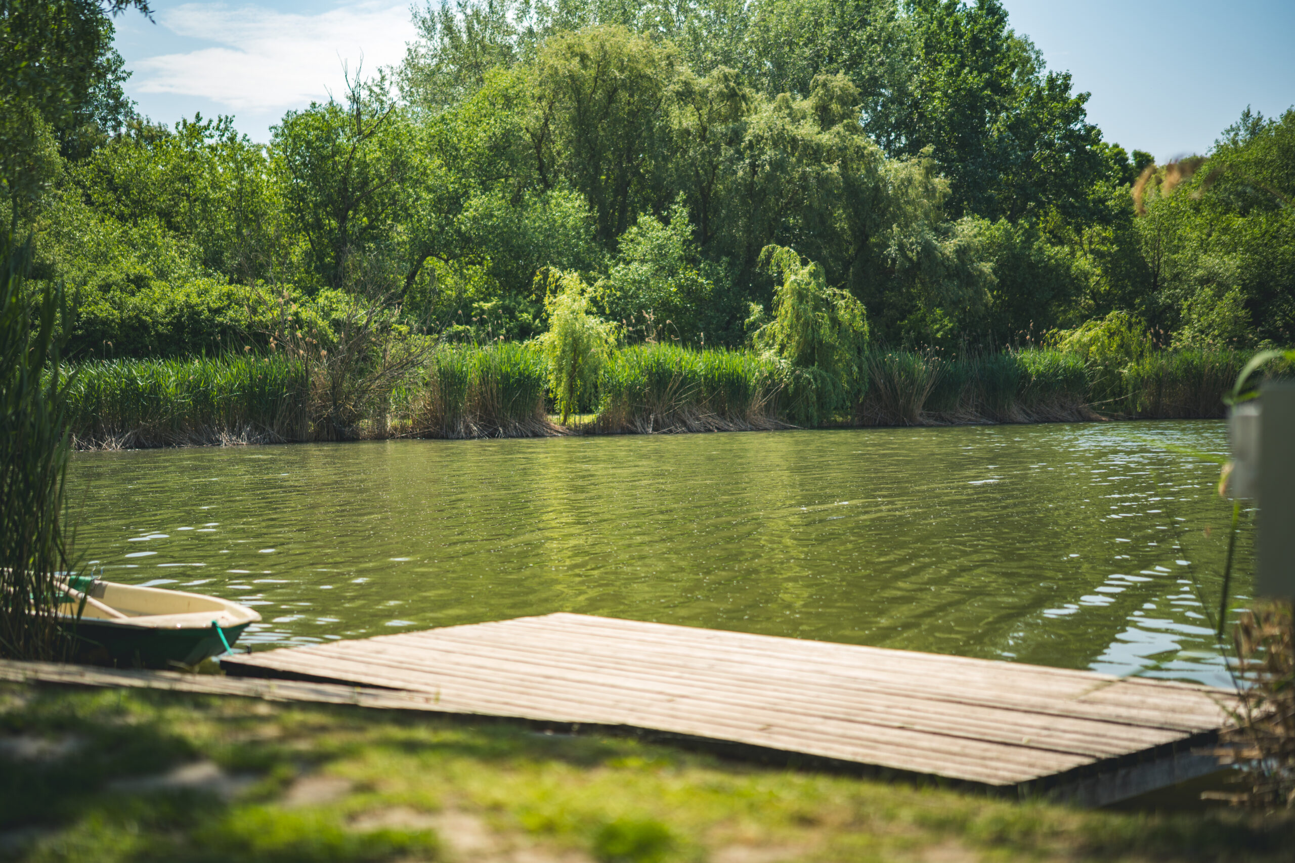 untitled (31 of 132)