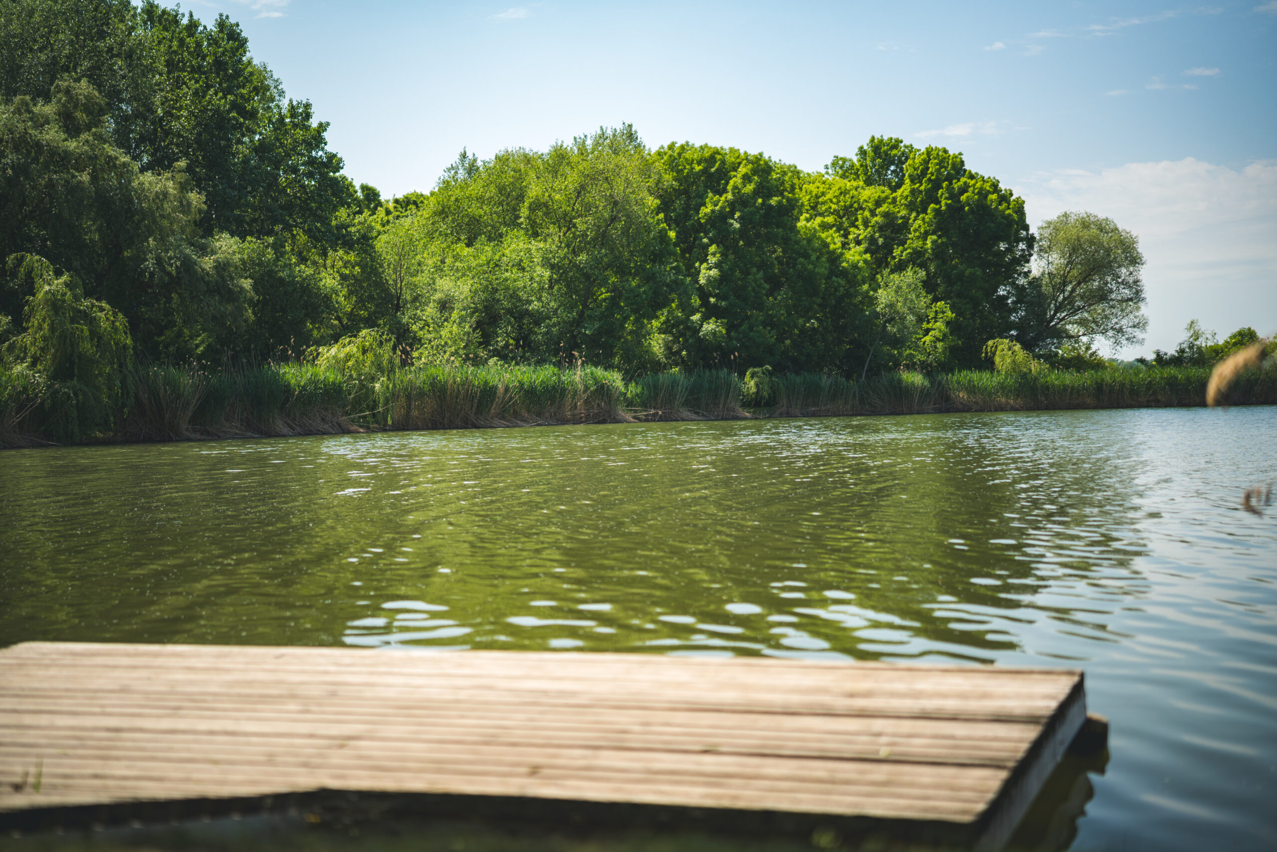 untitled (32 of 132)