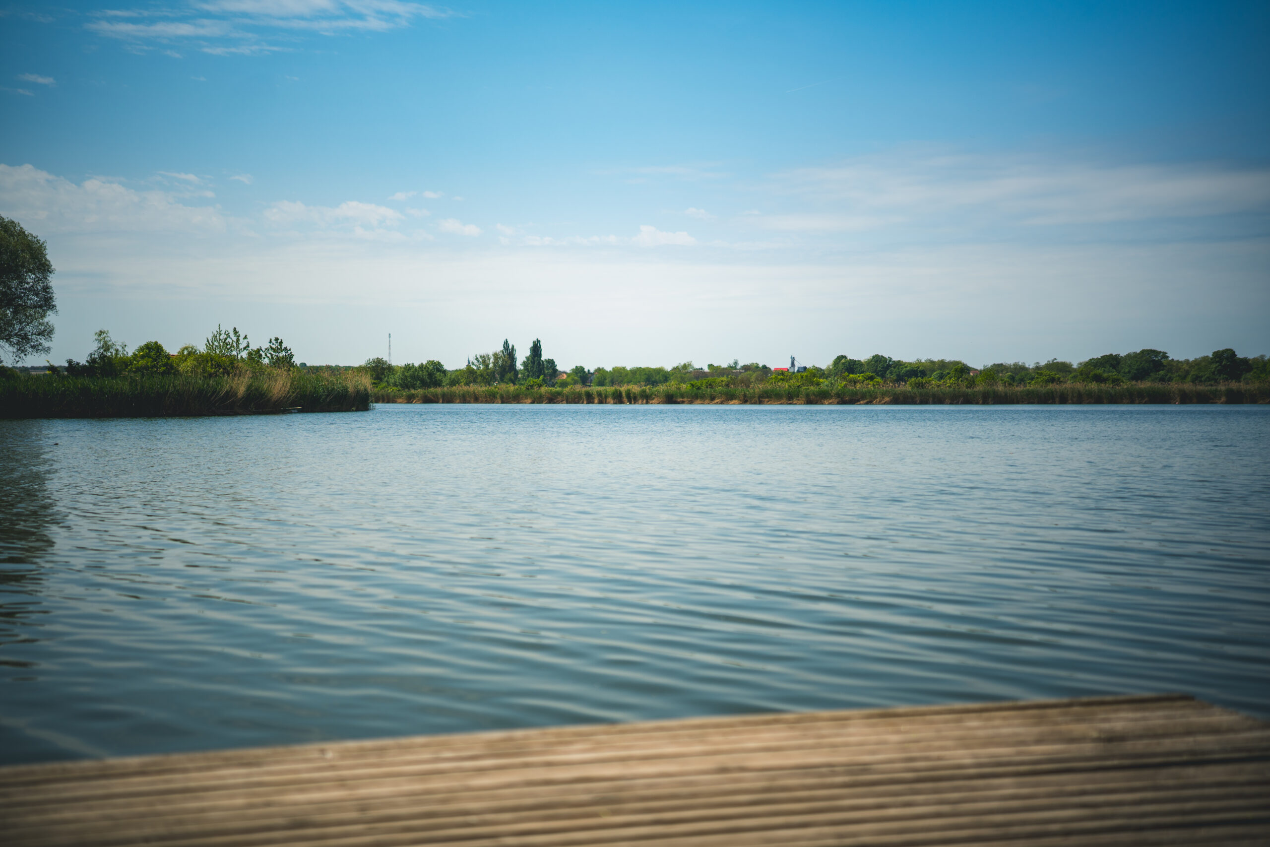 untitled (33 of 132)