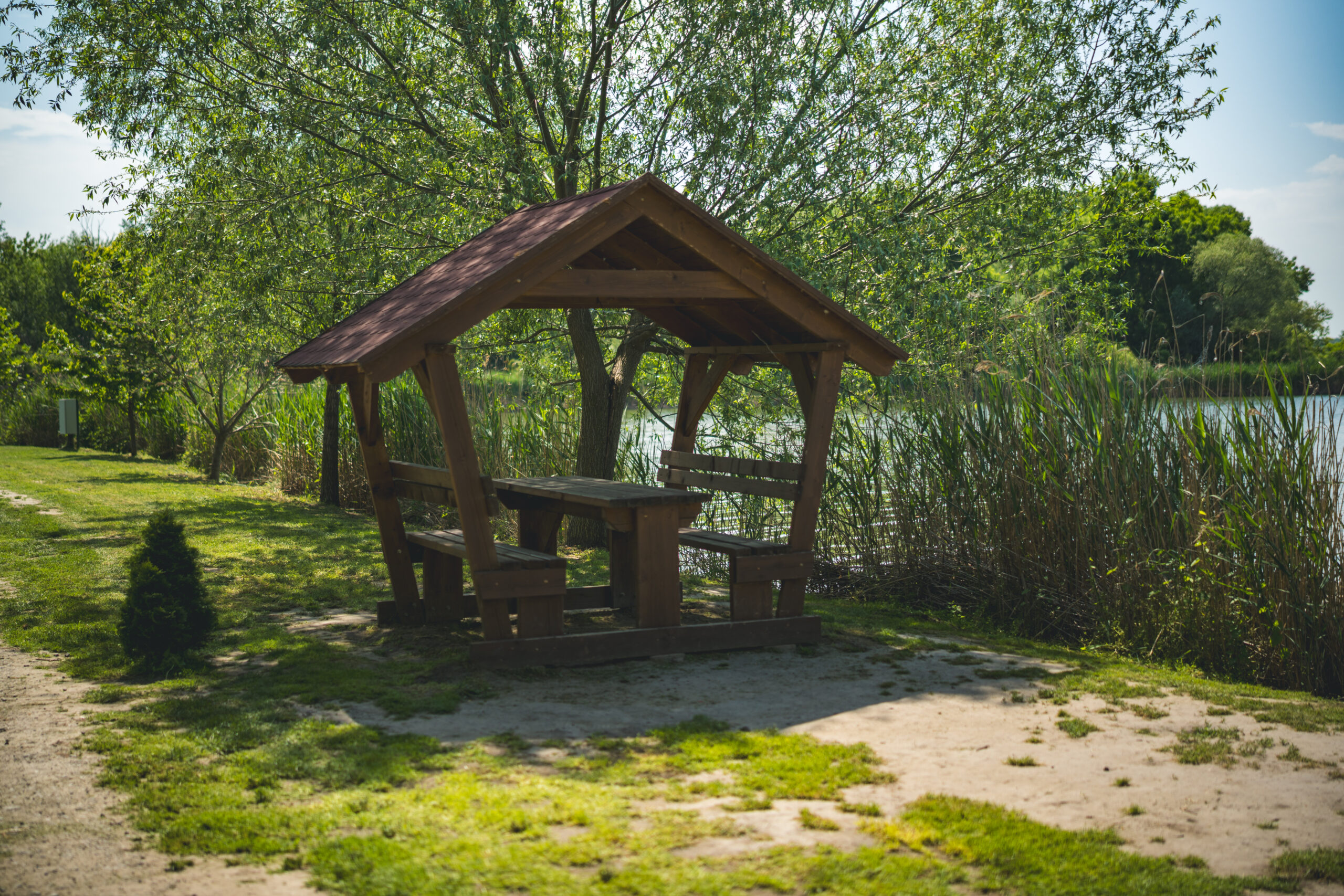 untitled (36 of 132)