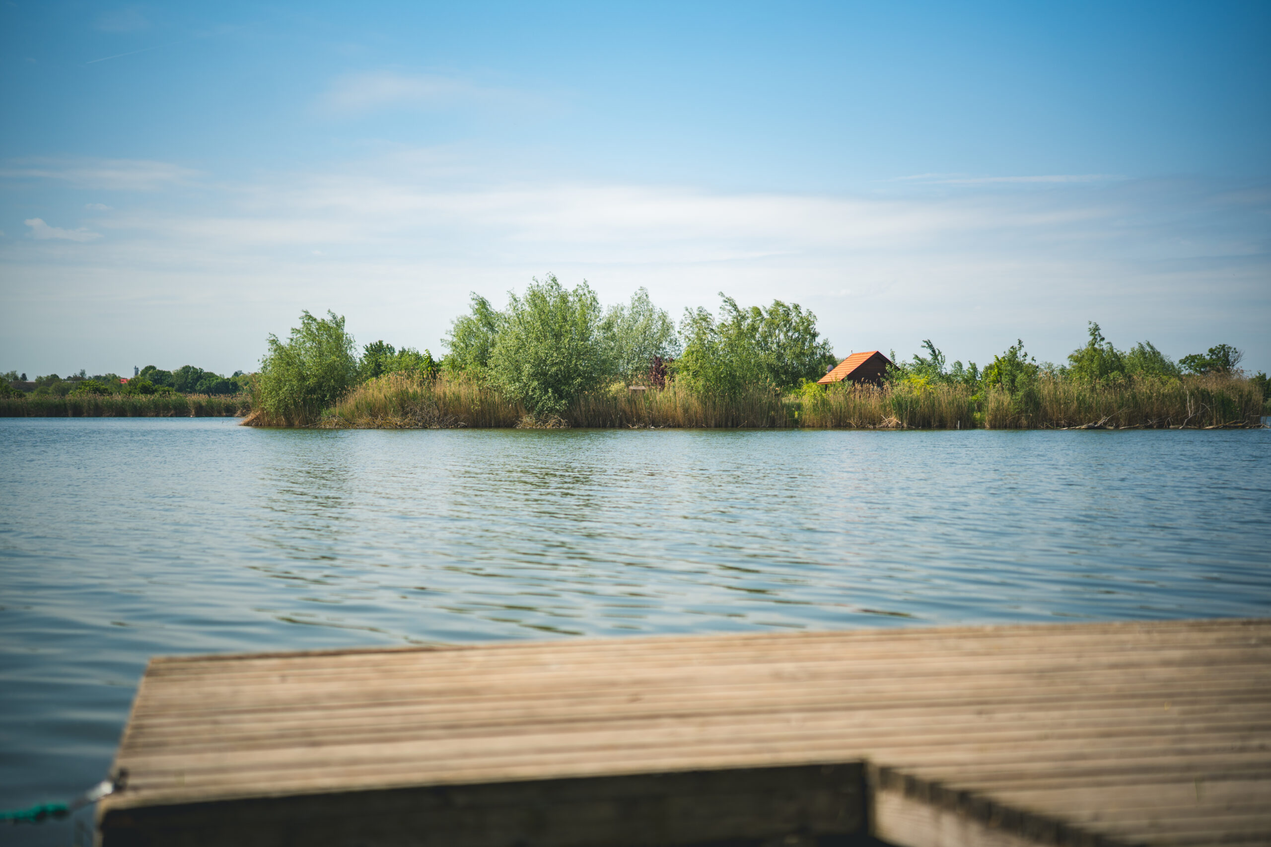 untitled (37 of 132)