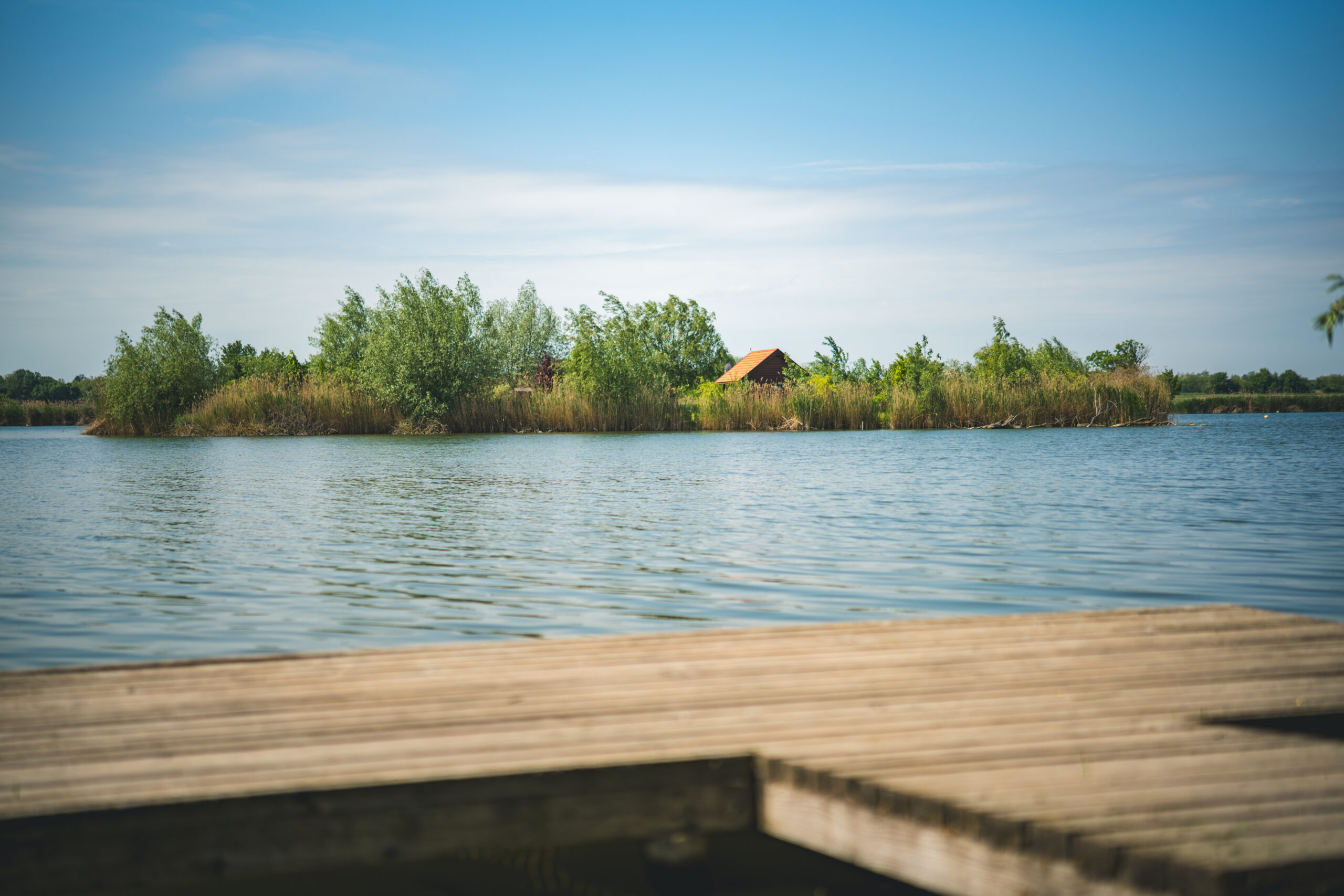 untitled (38 of 132)