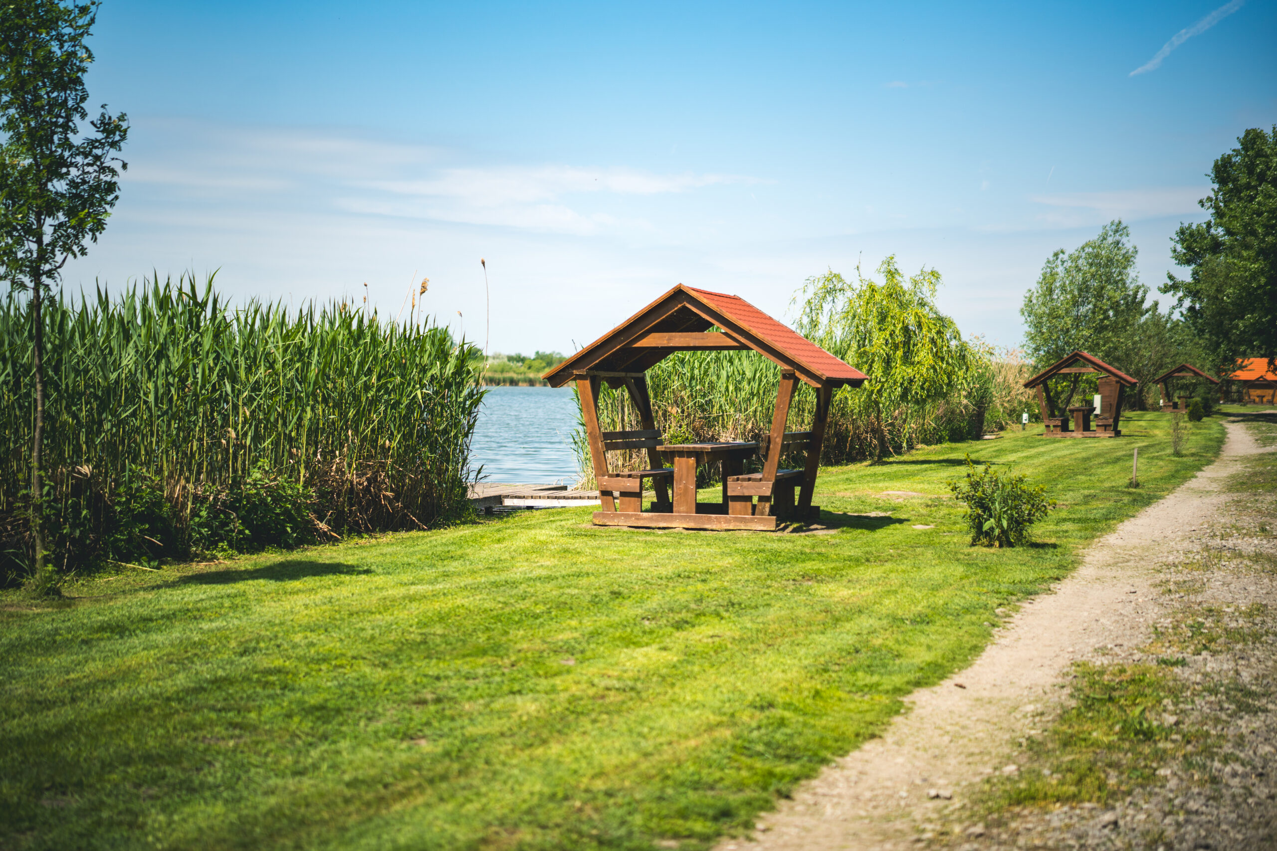 untitled (40 of 132)