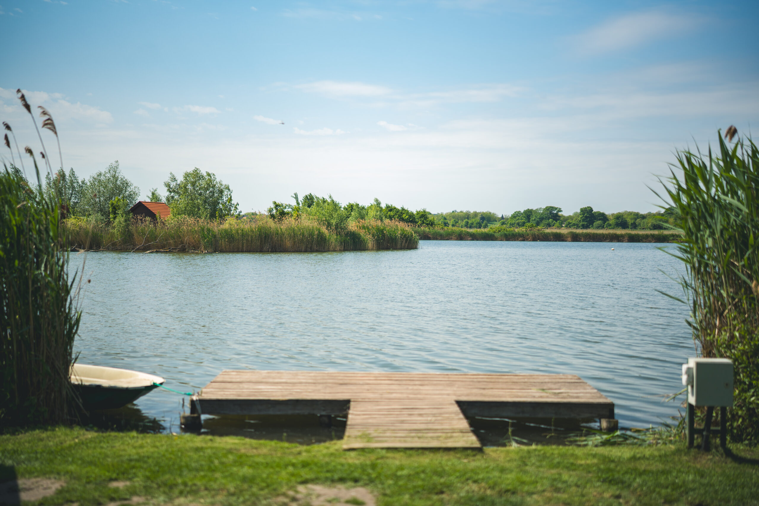 untitled (41 of 132)