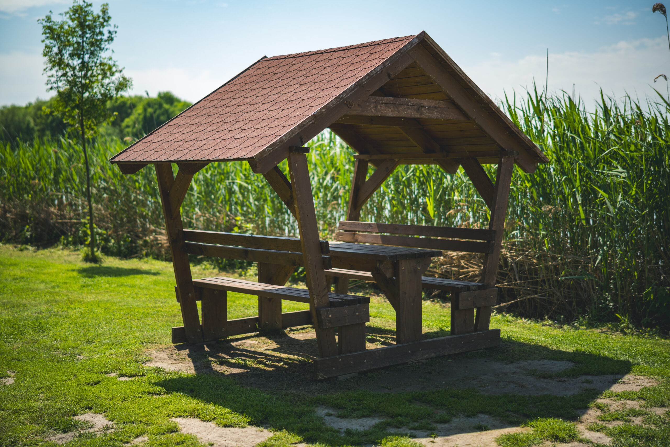 untitled (42 of 132)