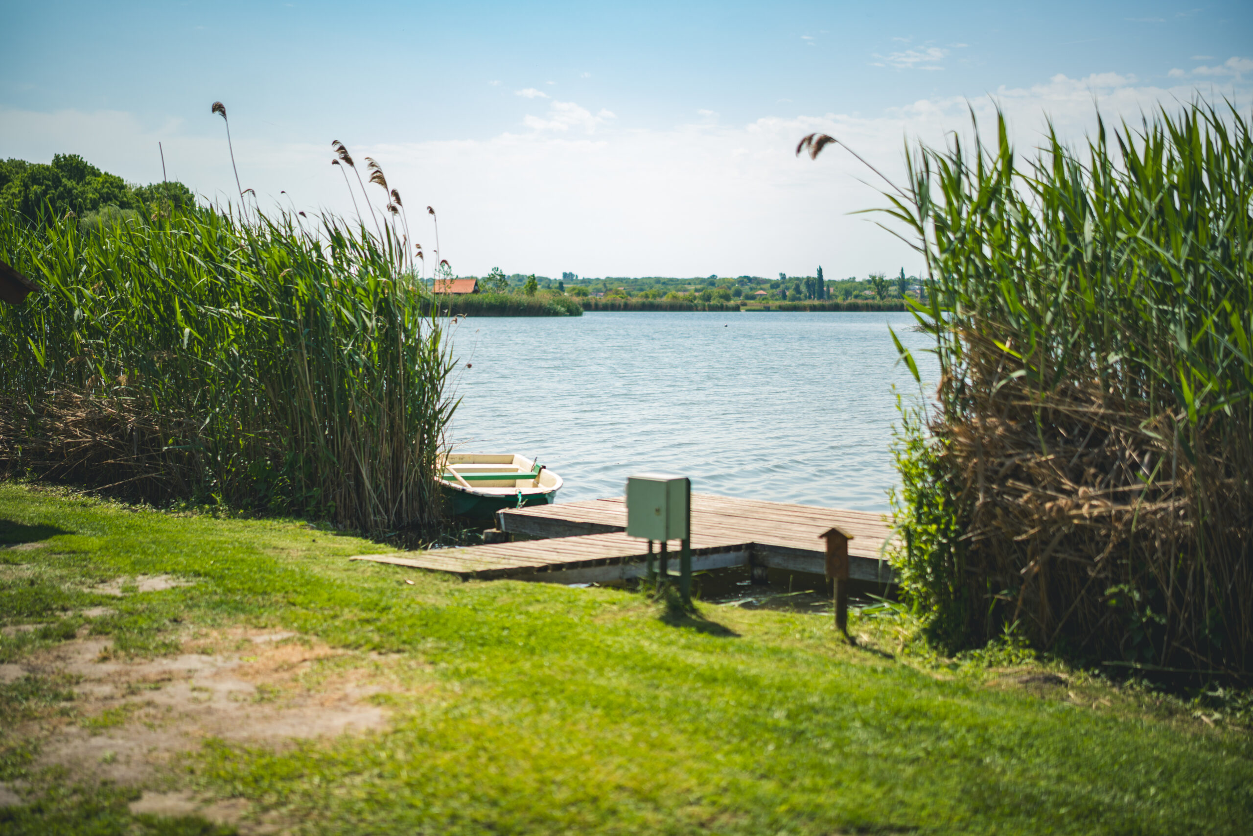 untitled (44 of 132)