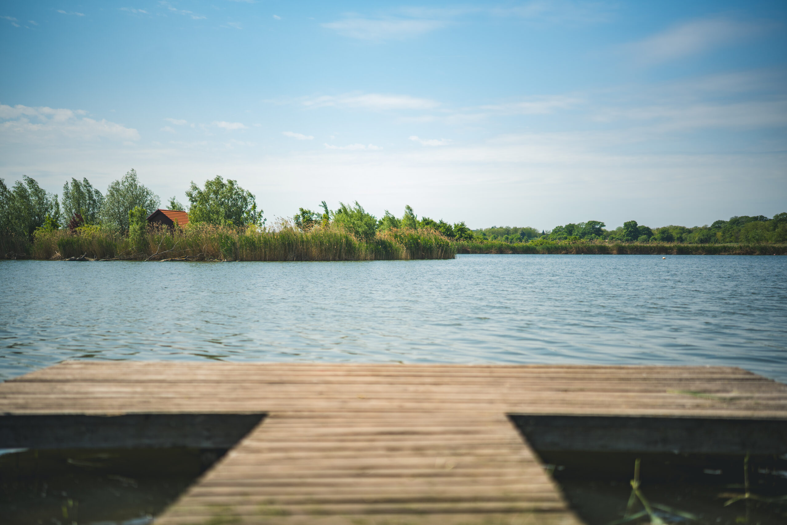 untitled (45 of 132)