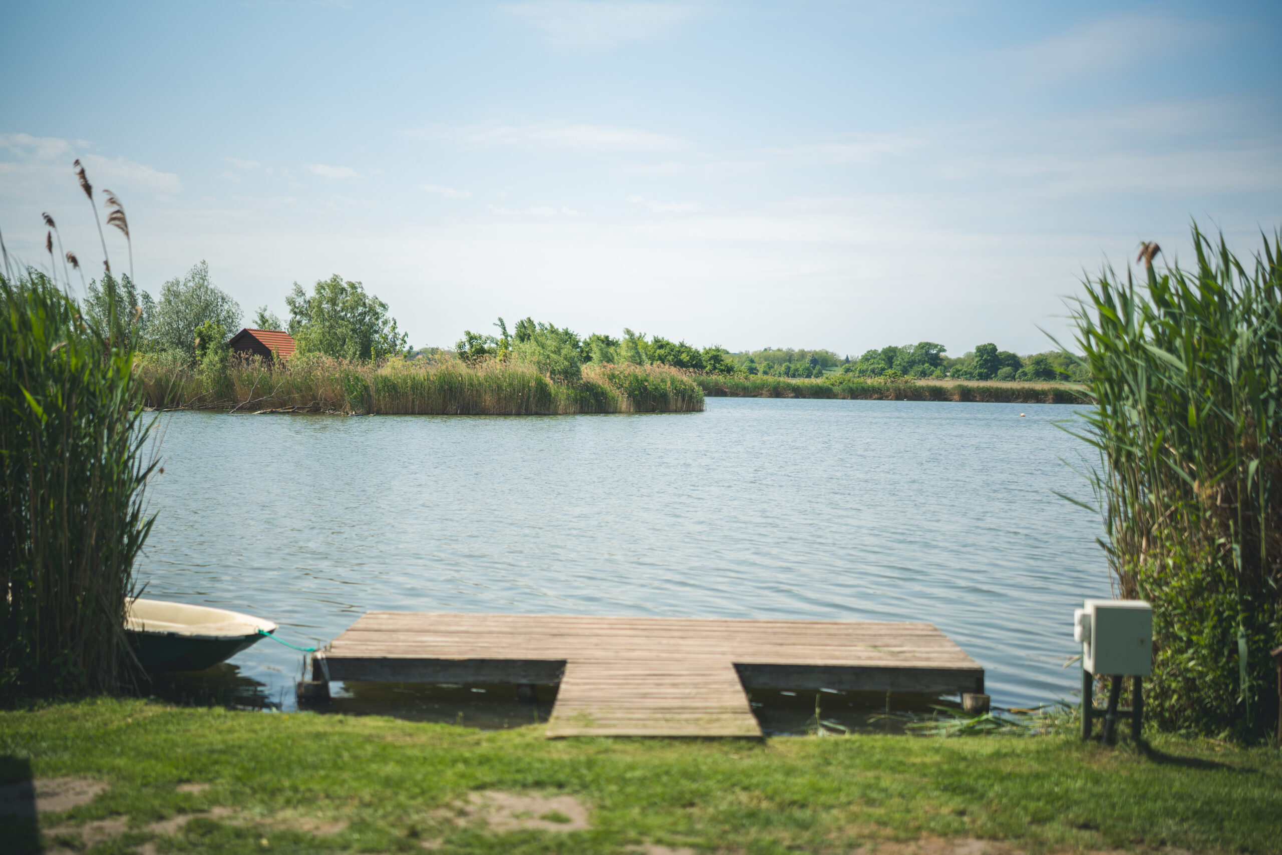 untitled (46 of 132)