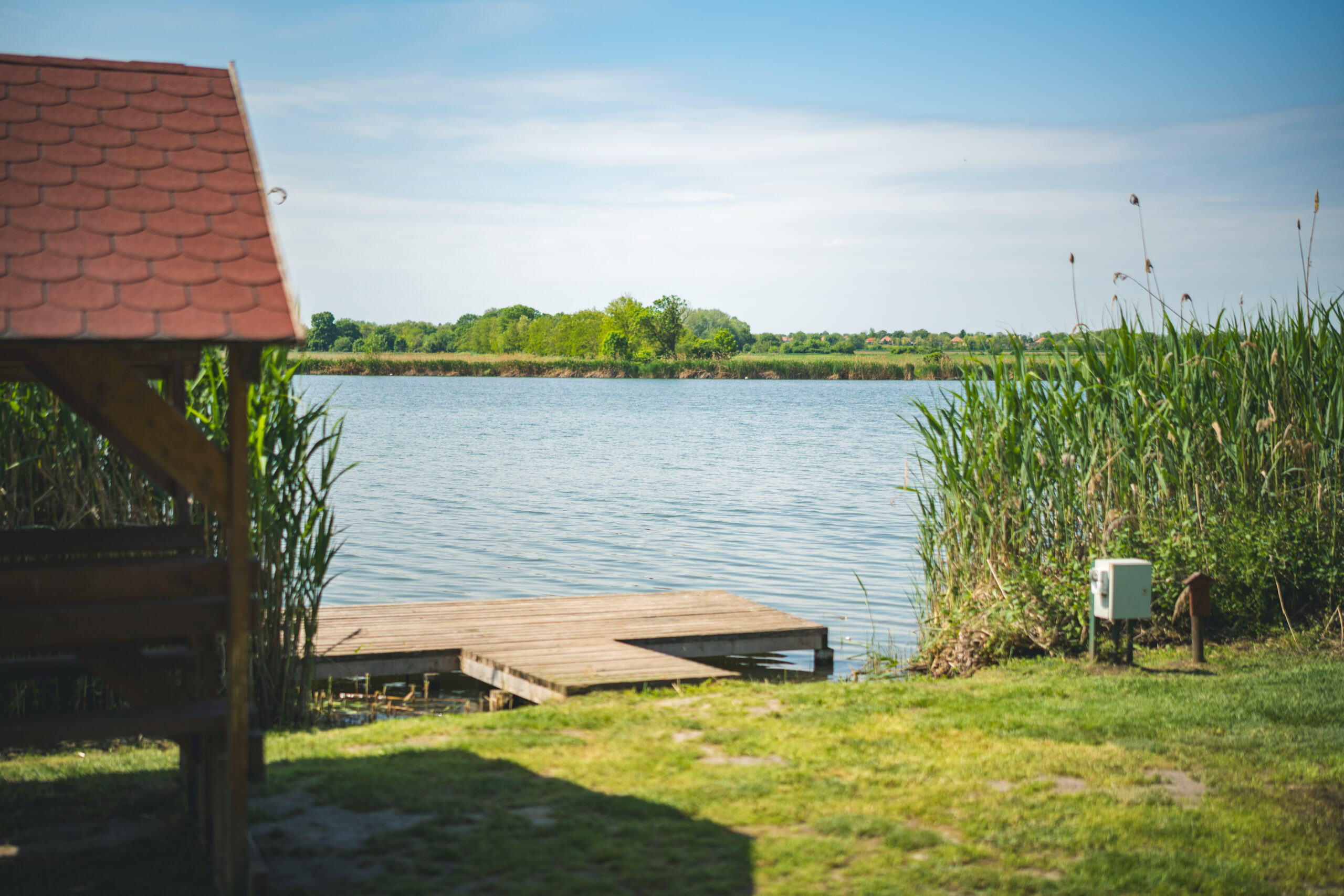 untitled (49 of 132)