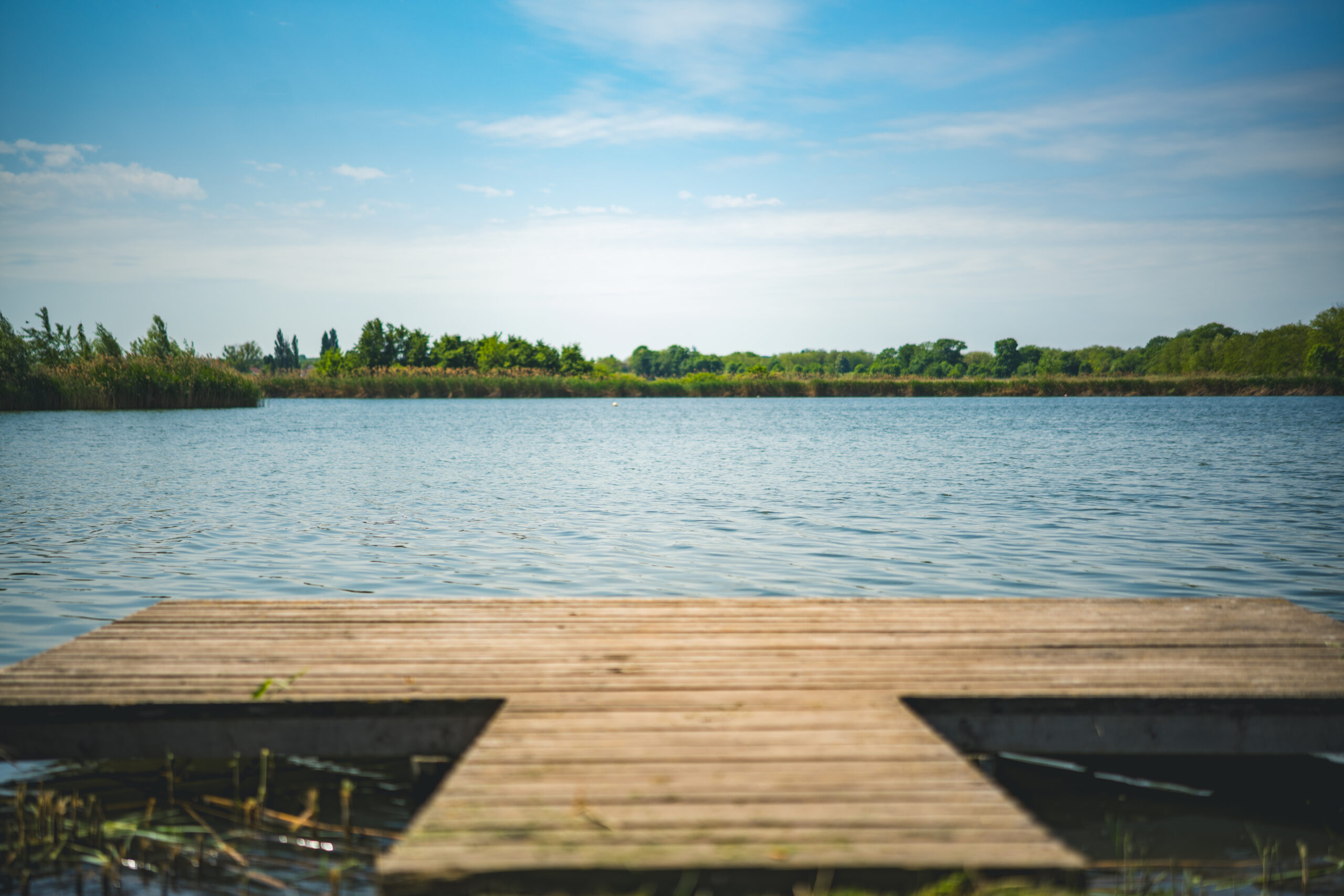 untitled (52 of 132)