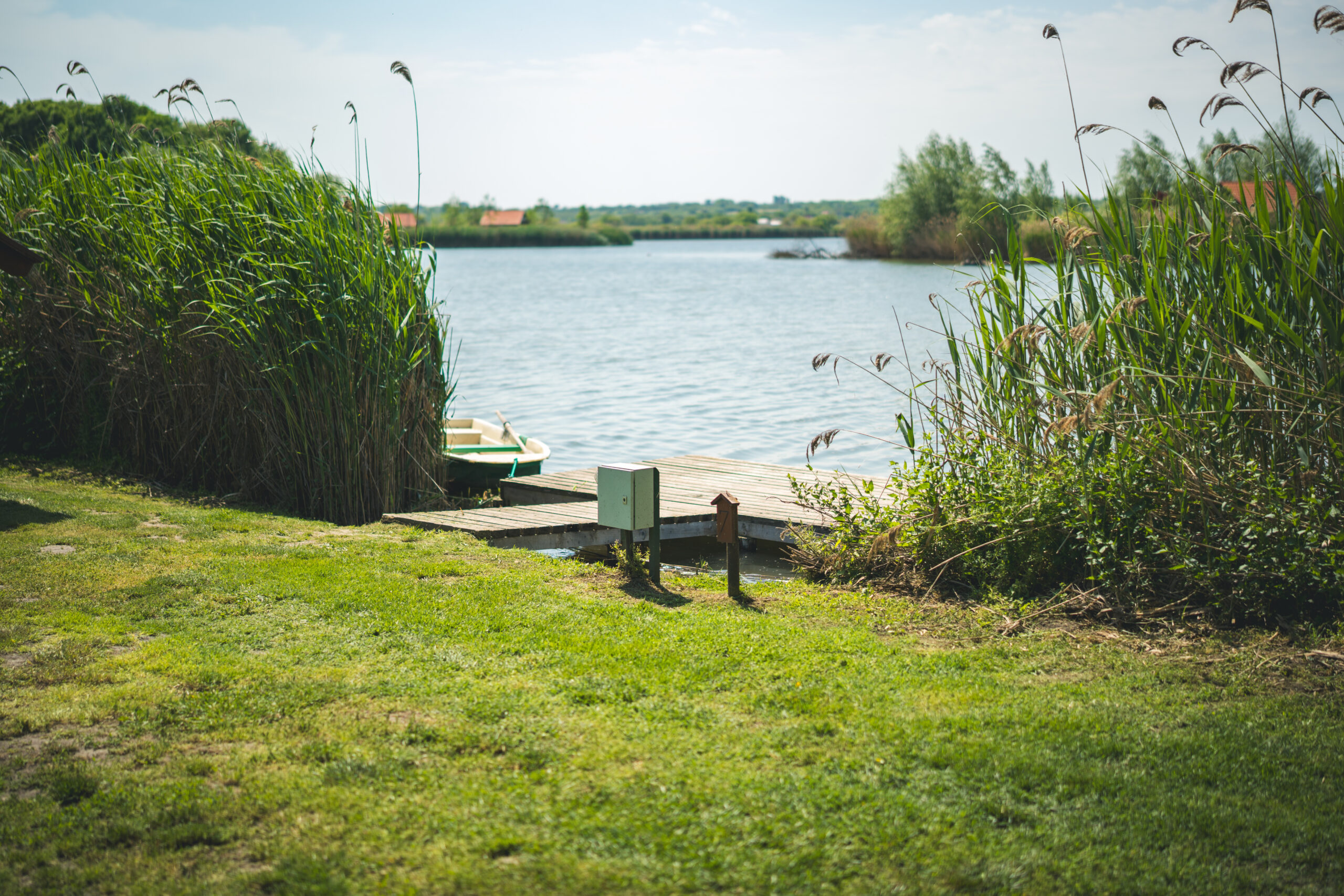 untitled (53 of 132)